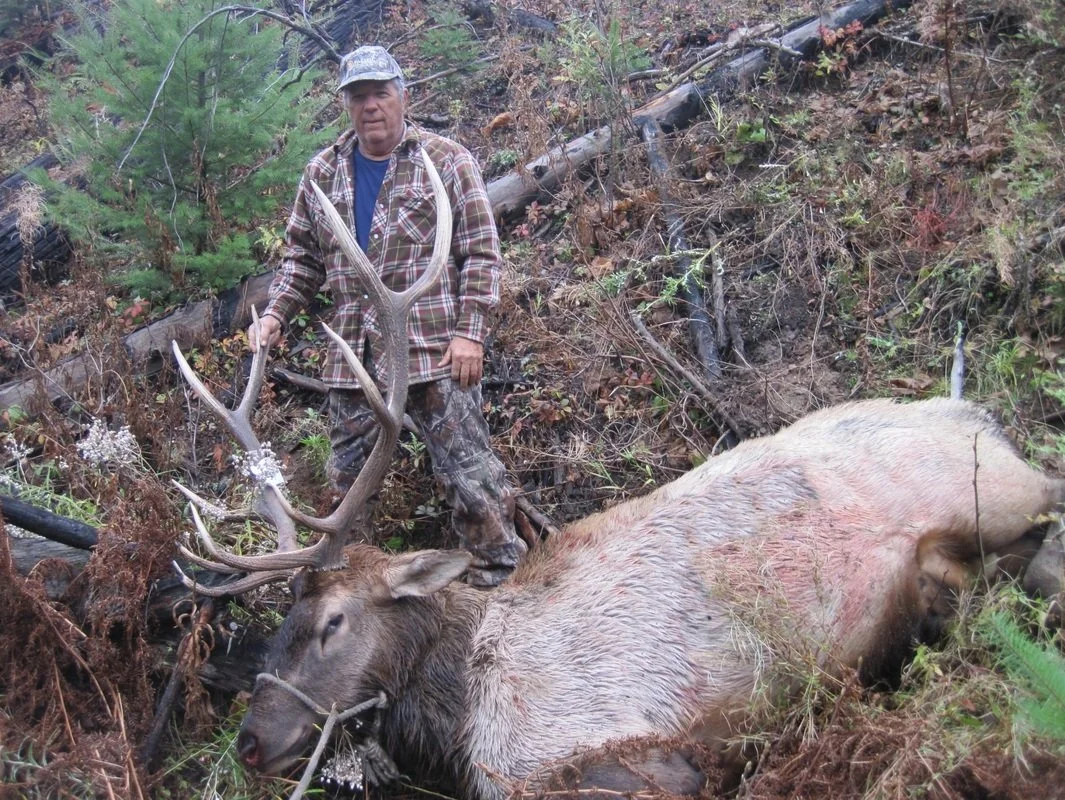 A man dressed in outdoor clothing with camouflage pants, khaki jacket, and a cap stands in a wooded area next to a large, recently killed elk with a light-colored coat and impressive antlers. The elk is lying on the ground amidst fallen leaves, branc