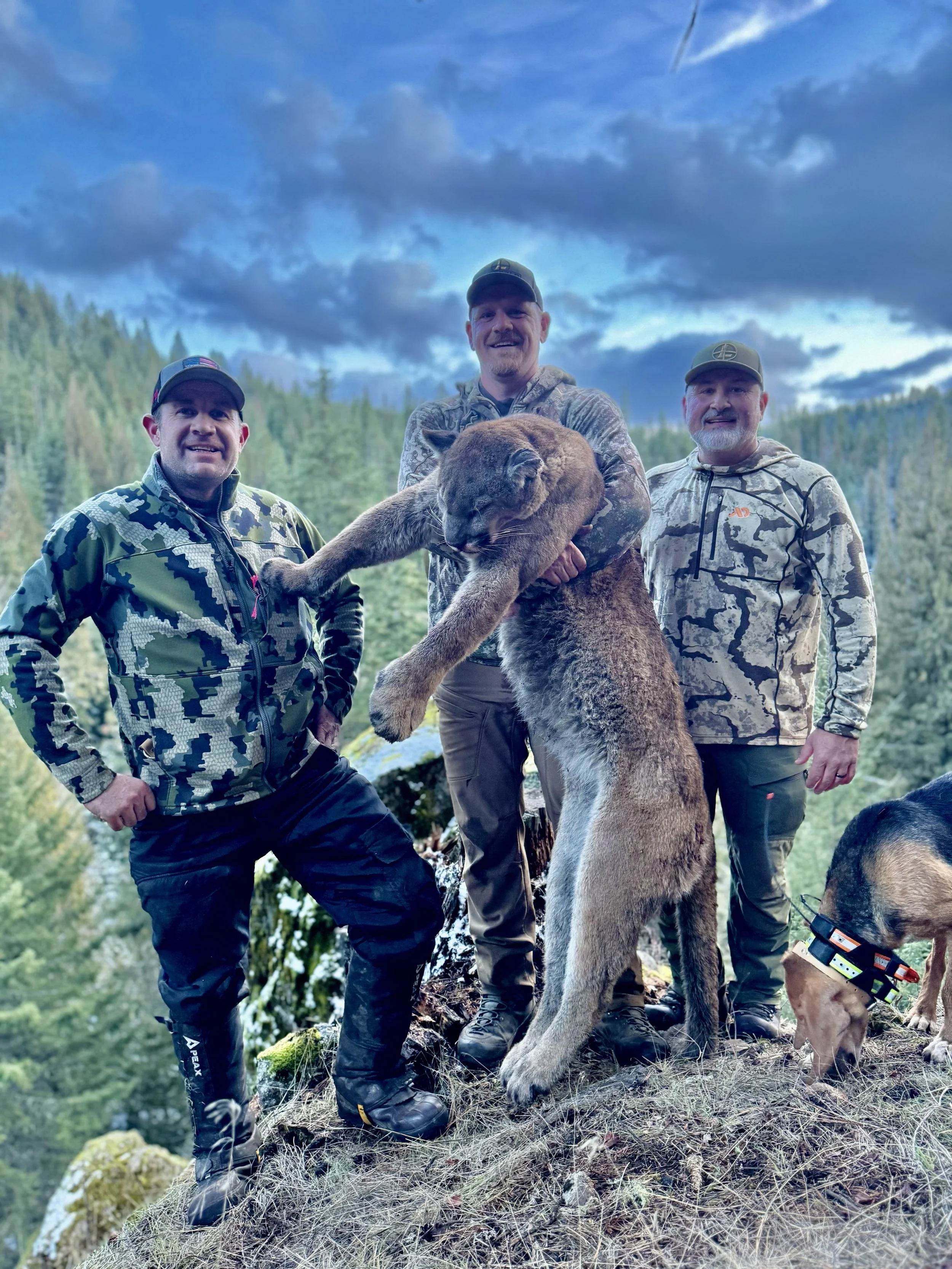 Three men in camouflage and outdoor gear posing on a mountain with a large mountain lion they have hunted, with trees and a cloudy sky in the background.