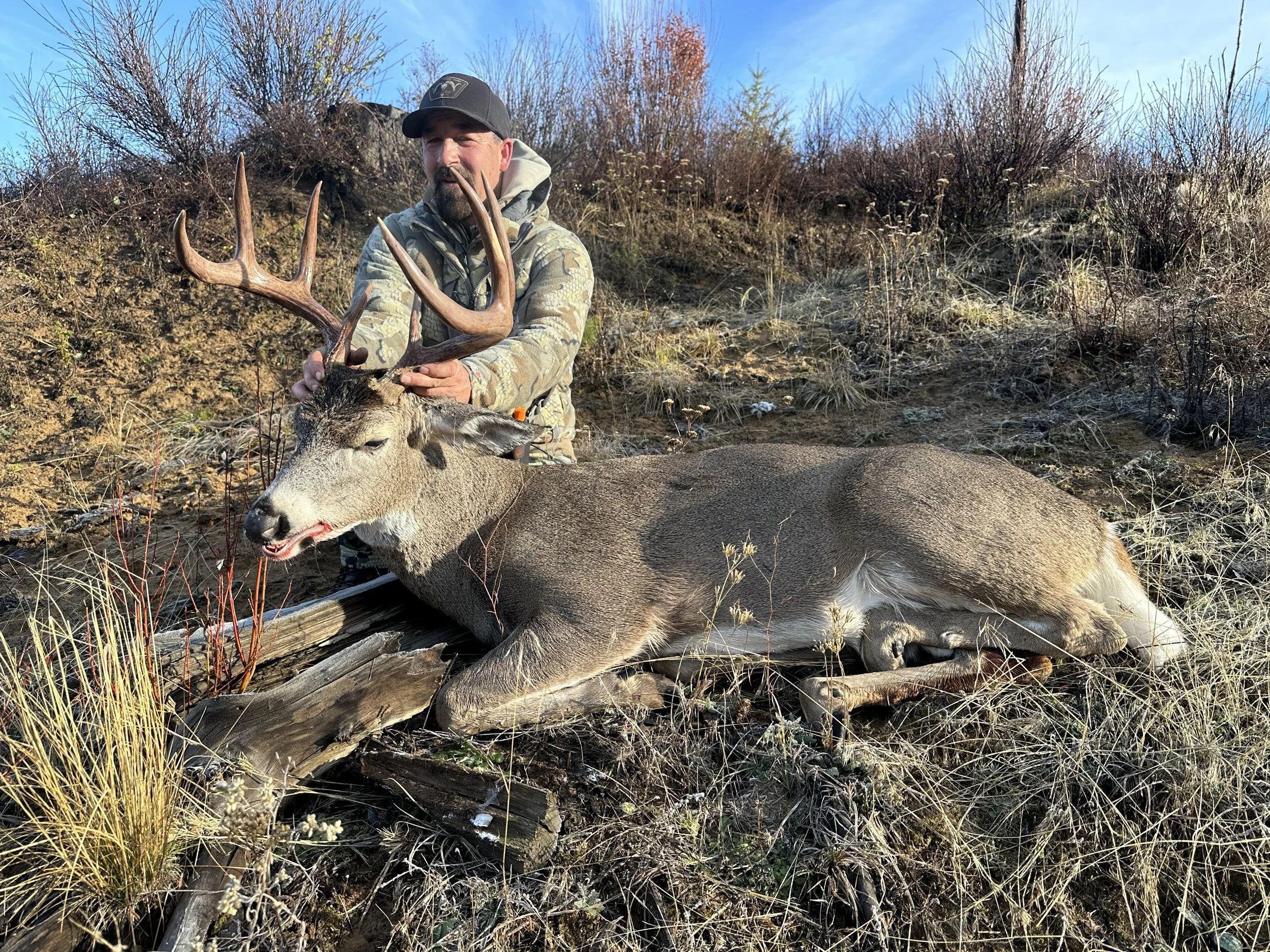 A man holding the antlers of a large, freshly hunted deer lying on the ground in a grassy and bushy outdoor setting.