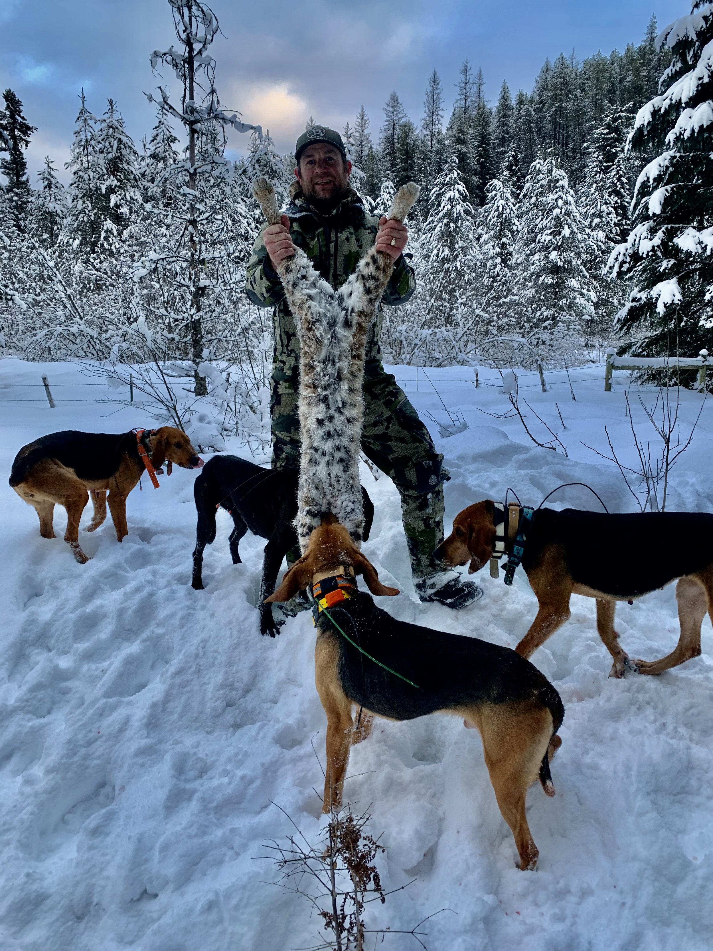 A man in camouflage clothing holding up a snow leopard carcass by its front paws in a snowy forest with four dogs around him.