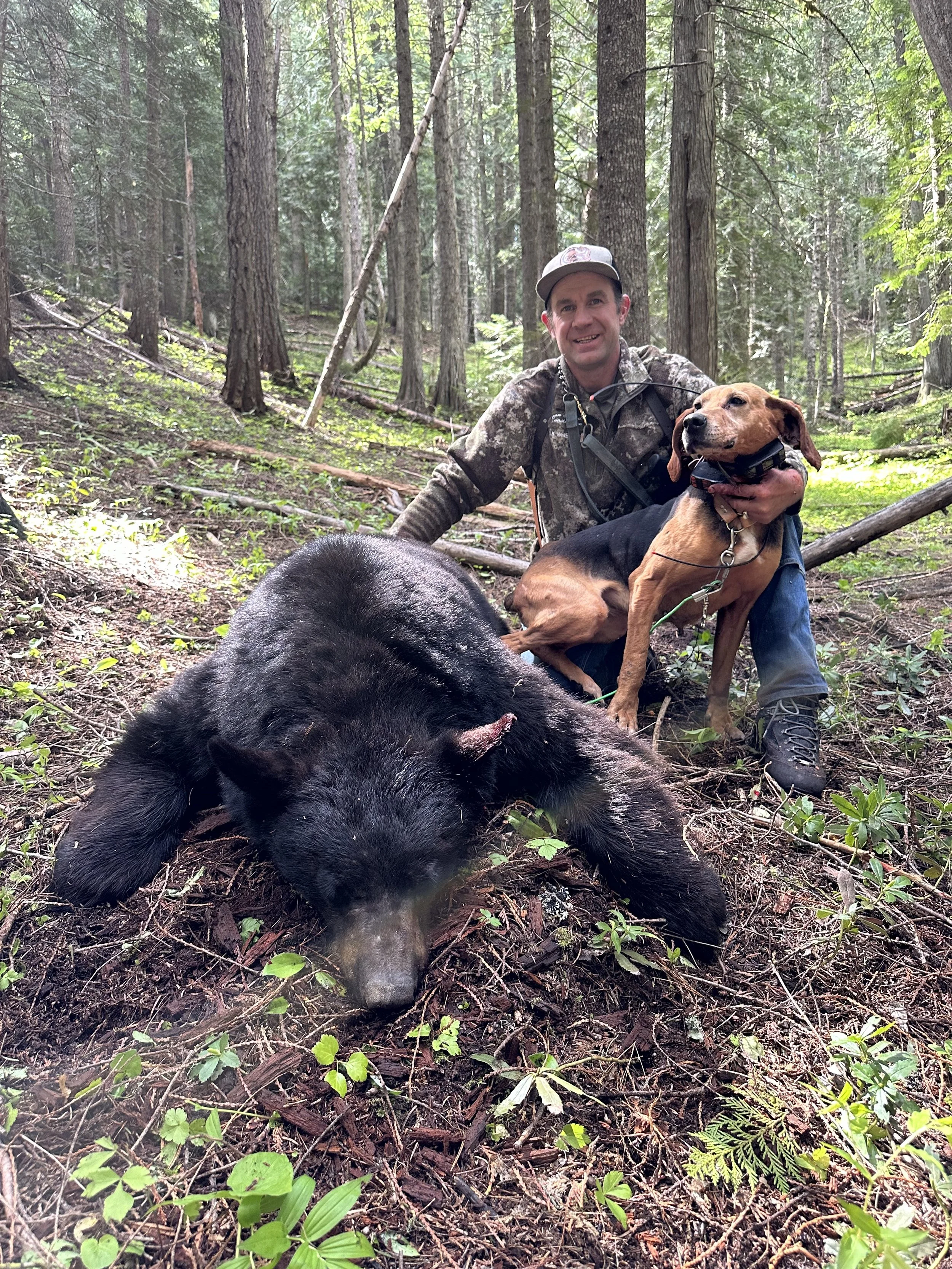 A hunter in camouflage clothes, a dog, and a dead black bear in a forested area.