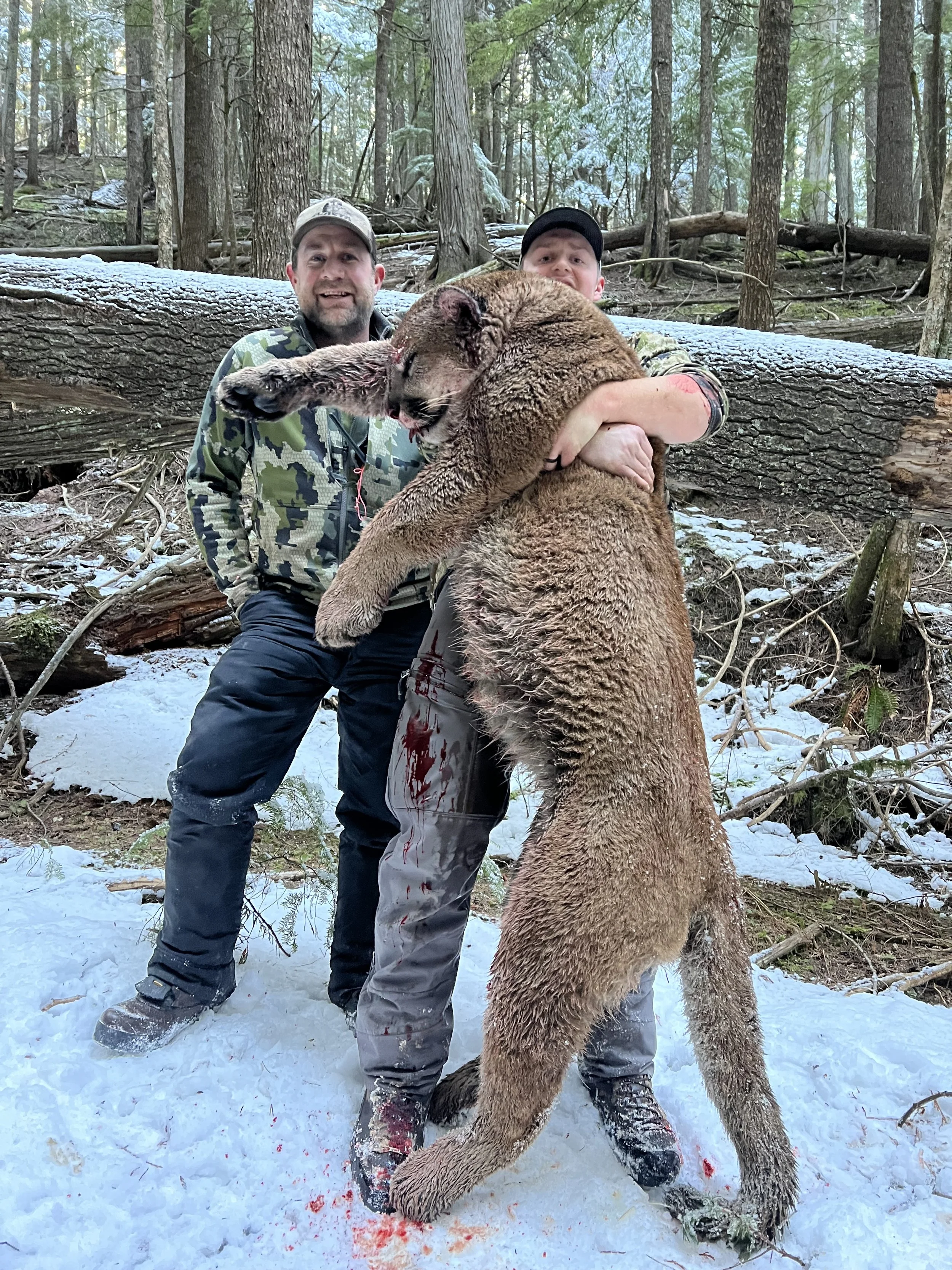 Two men holding a large, recently shot bear in a snowy forest, with fallen tree trunks and dense trees in the background.