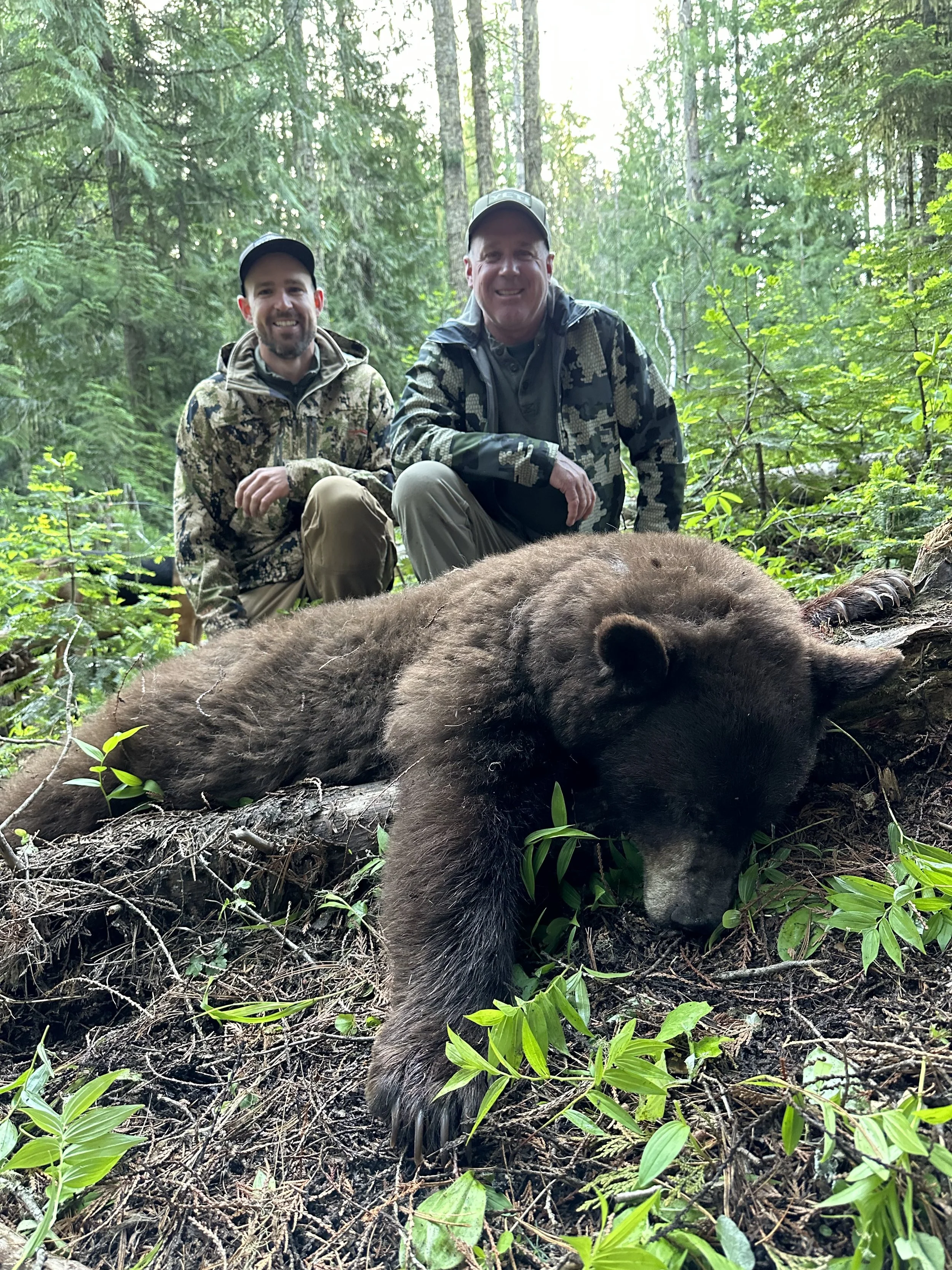 Two men squatting behind a large, dead bear lying on the forest floor with lush green trees and foliage in the background.