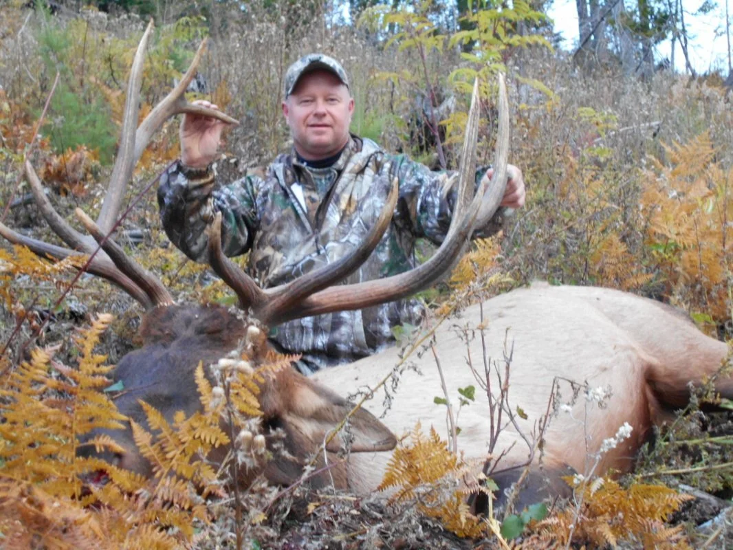 A man in camouflage clothing holding up the antlers of a large elk with a tan coat, lying on the ground among fall foliage.