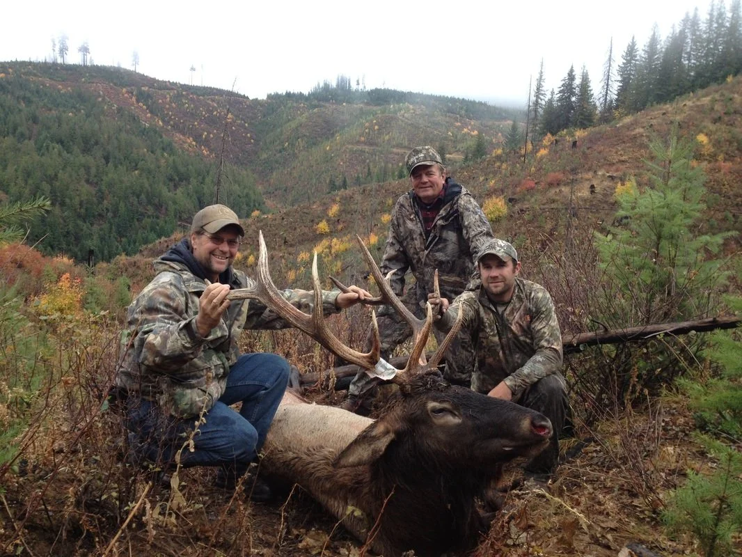Three men in camouflage clothing posing with a large elk they have hunted, in a hilly, forested area with fall foliage.