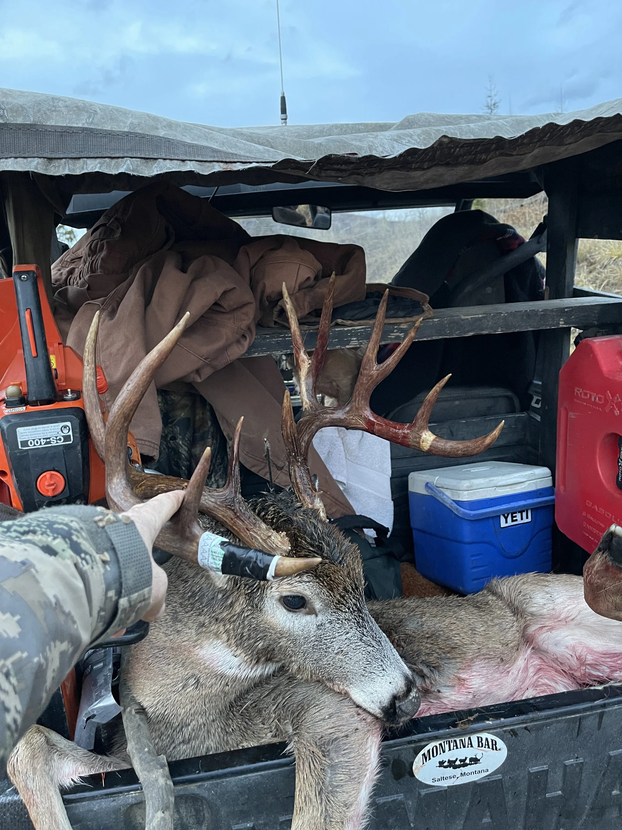 A harvested deer with antlers in the back of a pickup truck, surrounded by outdoor gear and equipment.