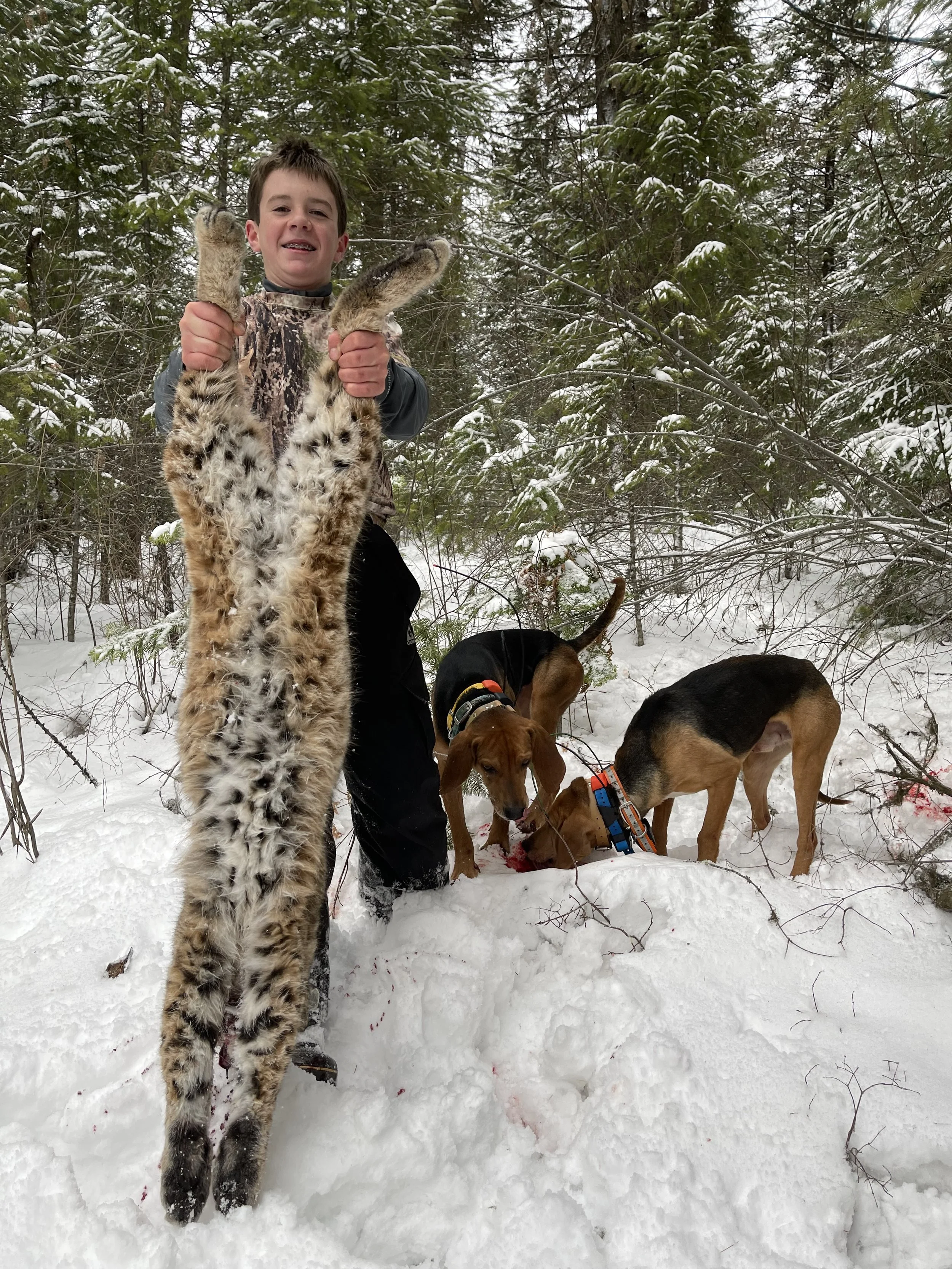 A young boy holding a large bobcat by its paws in a snowy forest with two dogs nearby, one eating something from the snow.