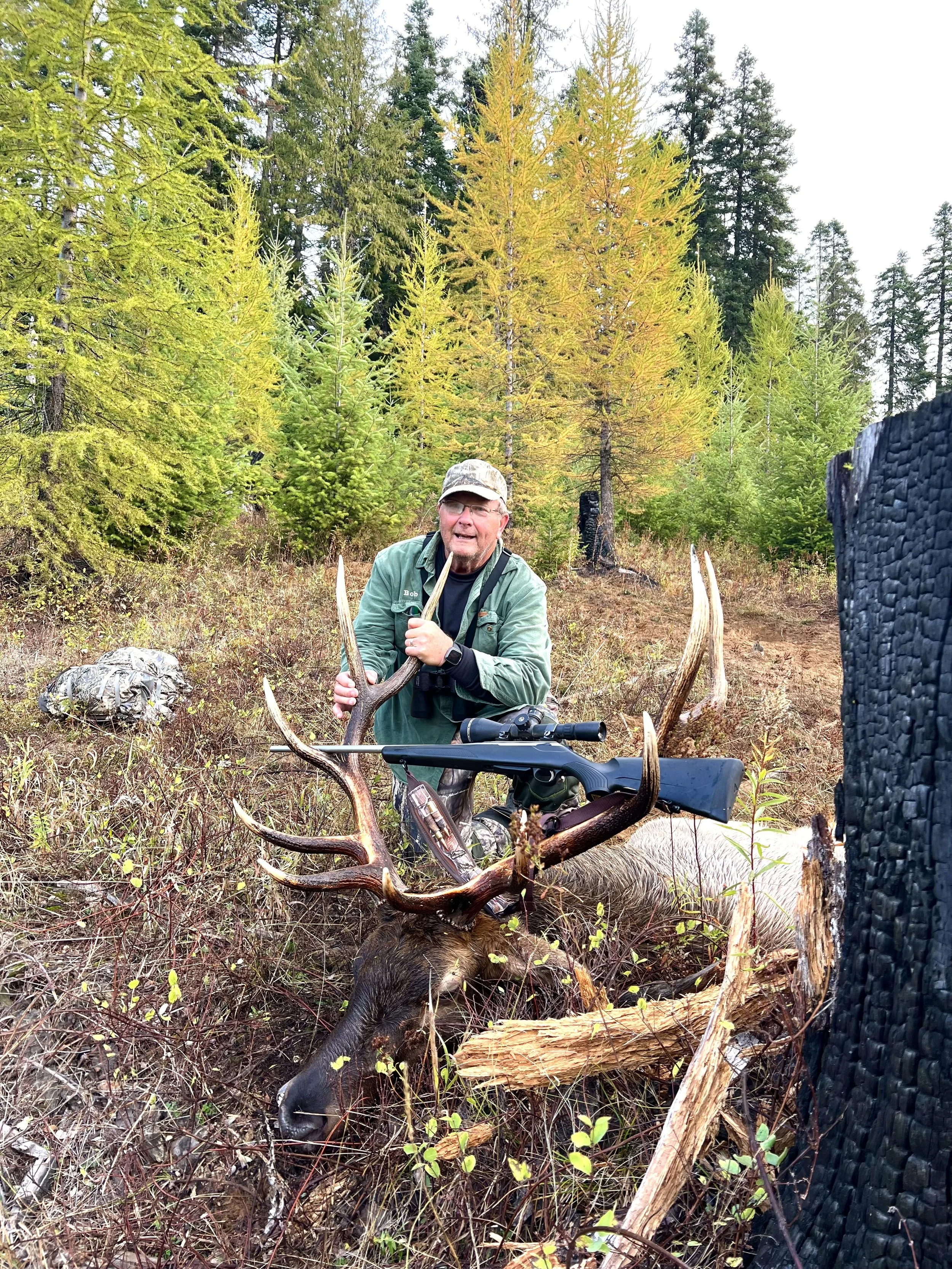 A man wearing glasses, a green jacket, and a camouflage hat is kneeling in a forested area with trees in fall colors, holding the antlers of a large elk that is lying on the ground with a rifle resting on its antlers.