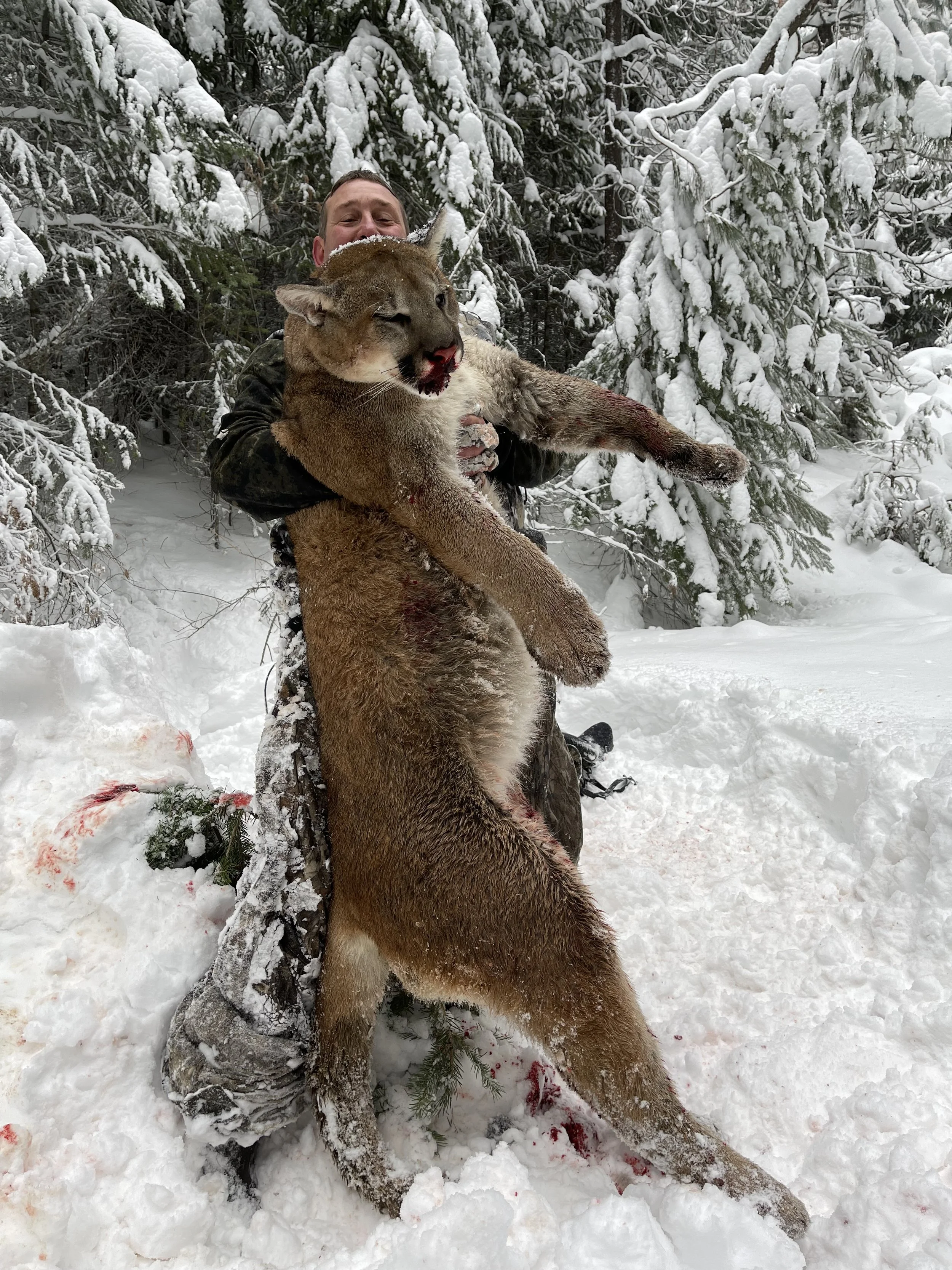 A man holding a large mountain lion in a snowy forest, with the mountain lion appearing injured and bloodied.