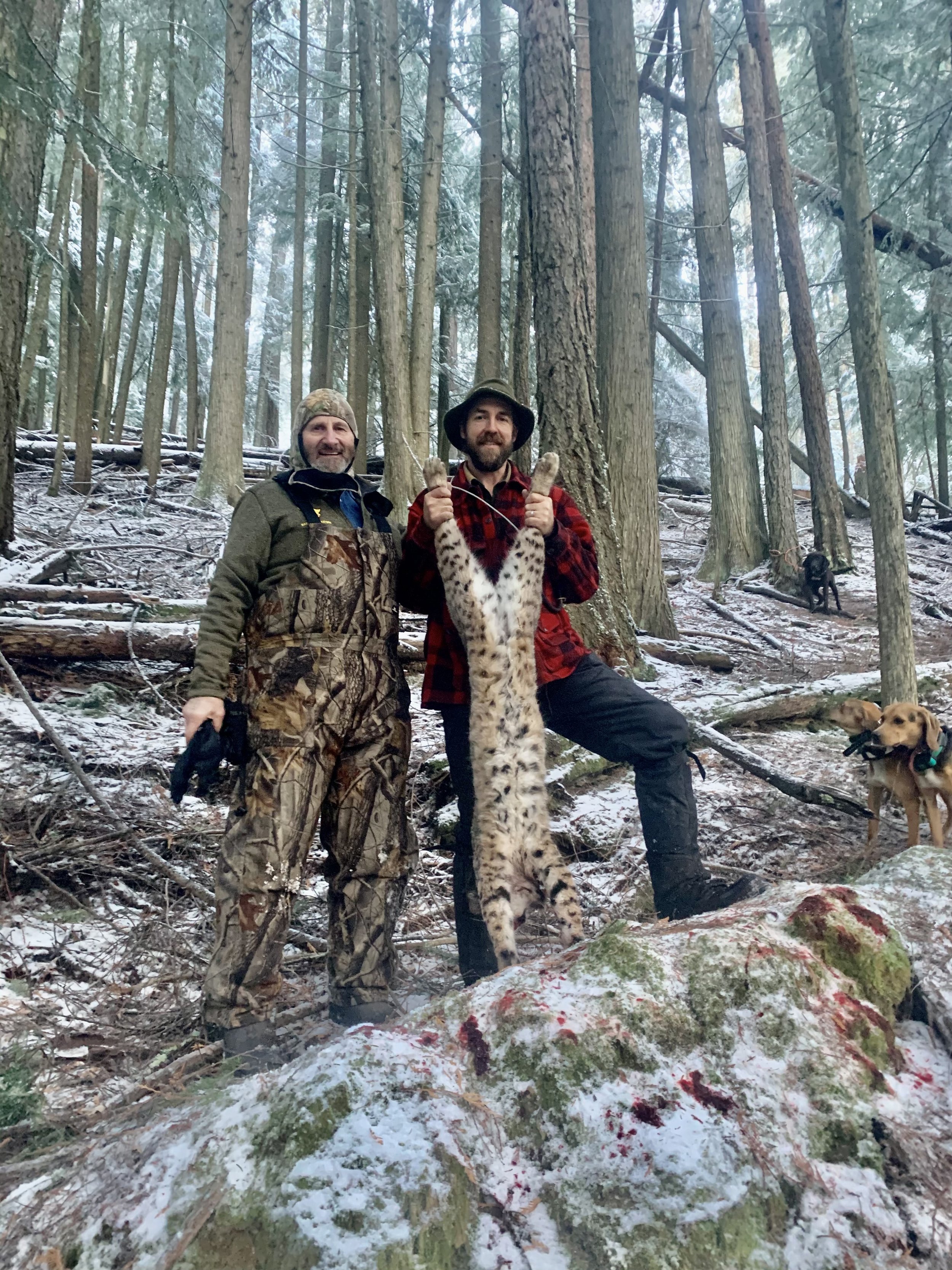 Two men in camouflage and red plaid clothing standing in a snowy forest, holding the tail of a bobcat, with two dogs nearby.