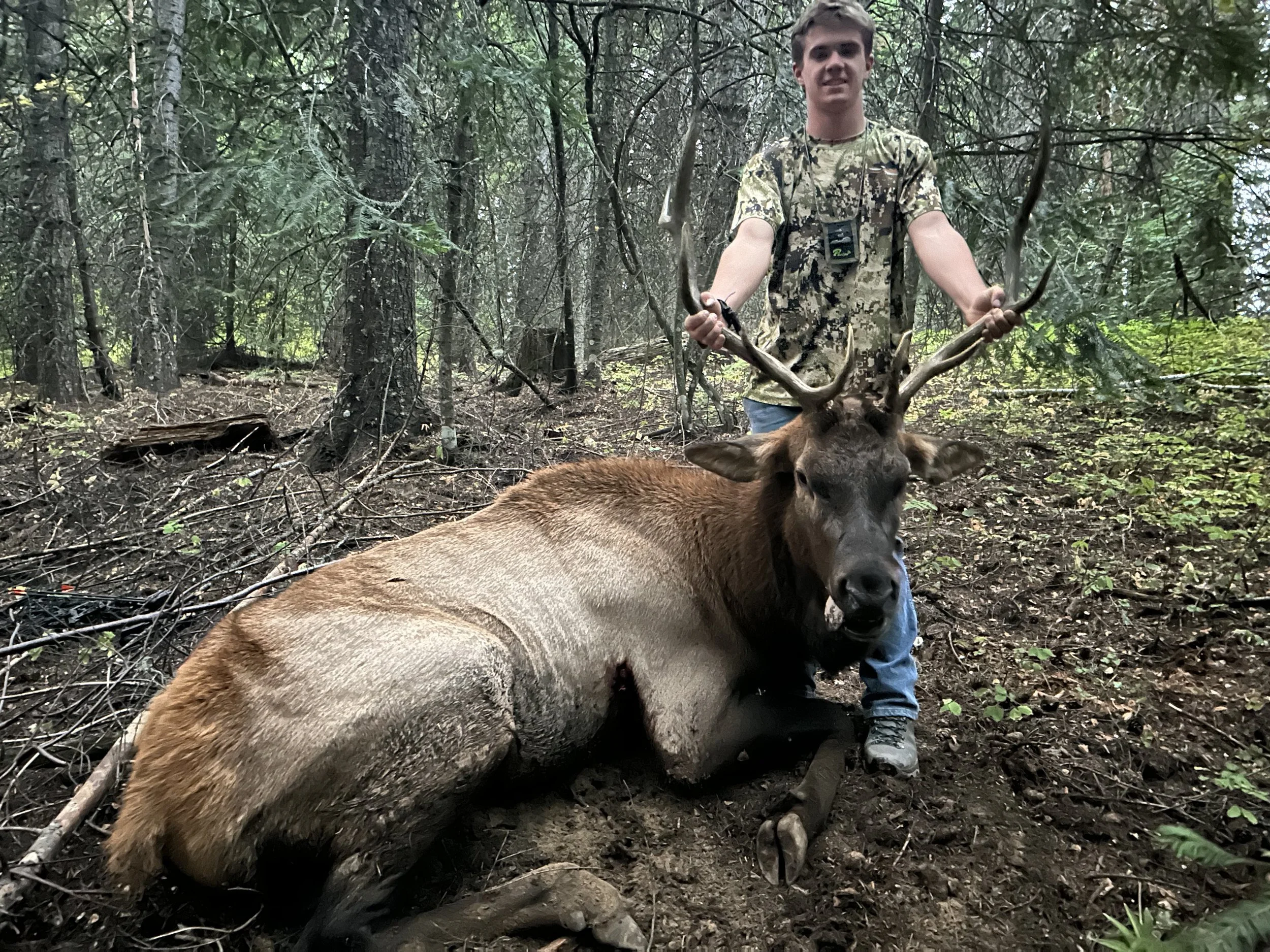 A young man in camouflage clothing stands in a forest holding antlers of a large, recently hunted elk that is lying on the ground, surrounded by trees and natural forest debris.