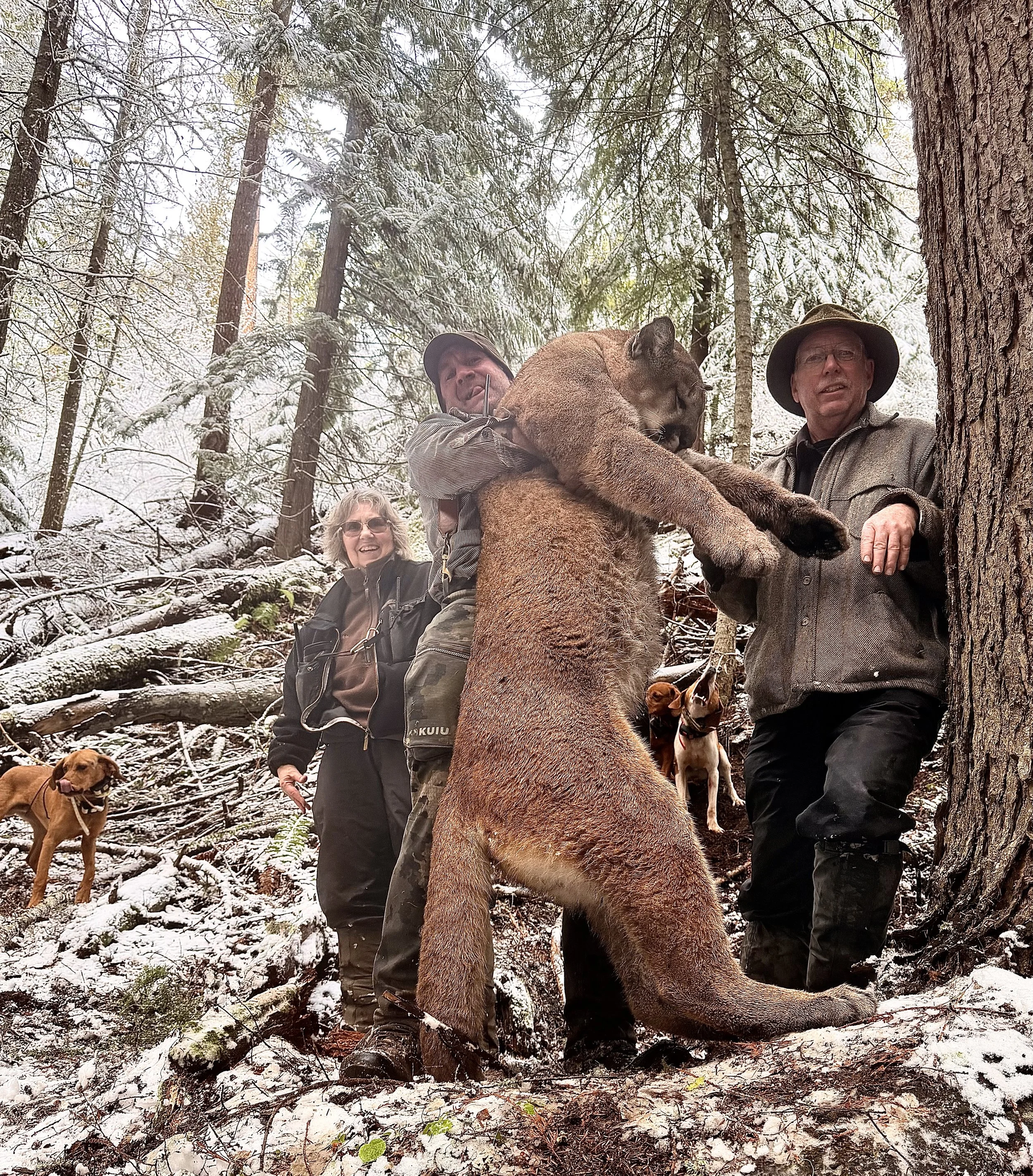 Three people in a snowy forest standing near a large mountain lion, which is touching one person's chest and pawing at a man with a camera. Two dogs are also present, one on the left and another in the background.