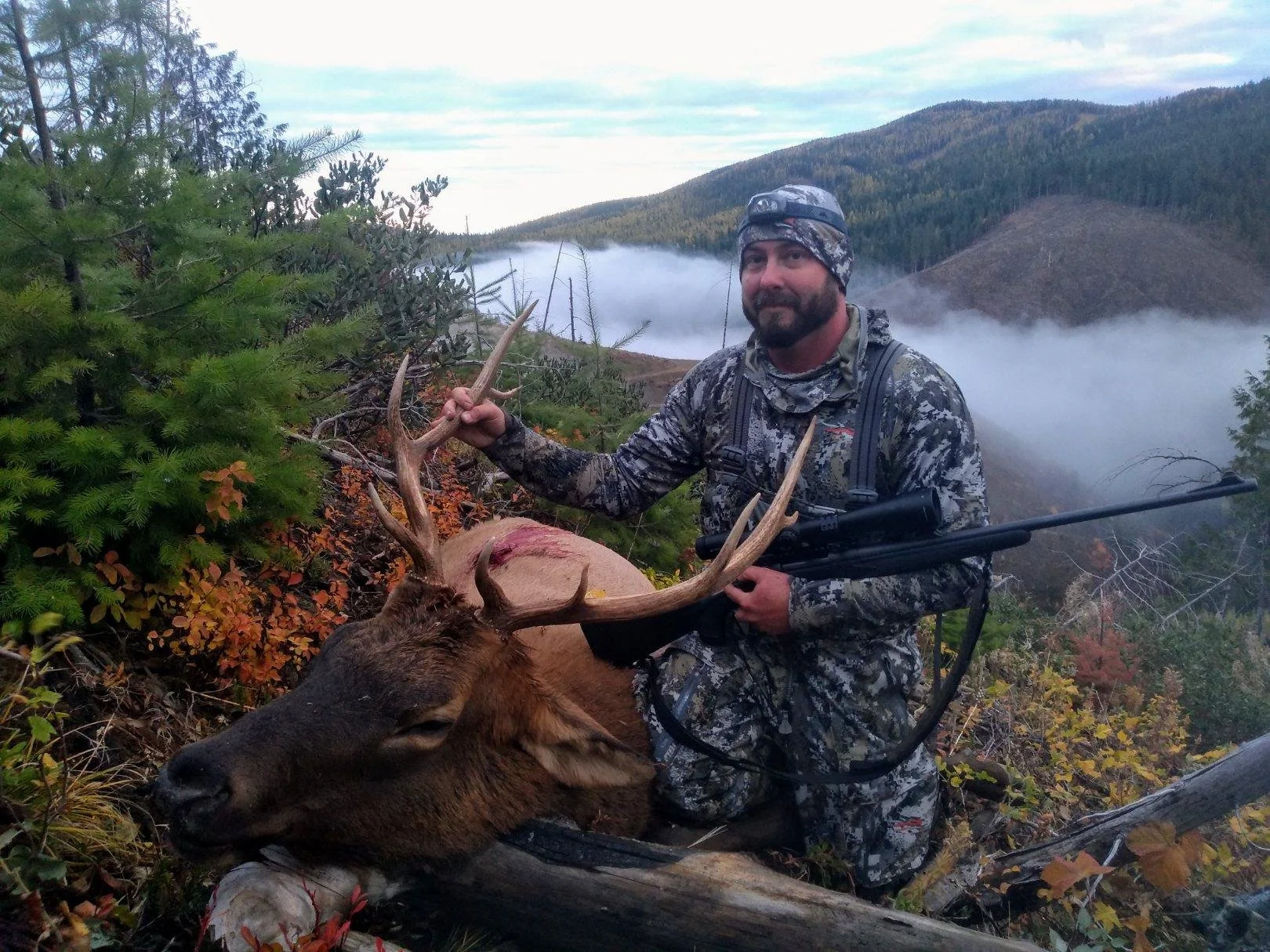 A man in camouflage clothing kneels on the ground holding an elk's antlers with one hand and a rifle with the other. The elk is lying on the ground. There are trees, mountains, and a foggy sky in the background.