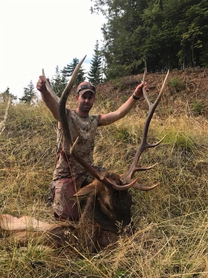 A man in camouflage clothing kneels in tall grass holding the antlers of a large dead elk with a prominent set of antlers, in a forested area.