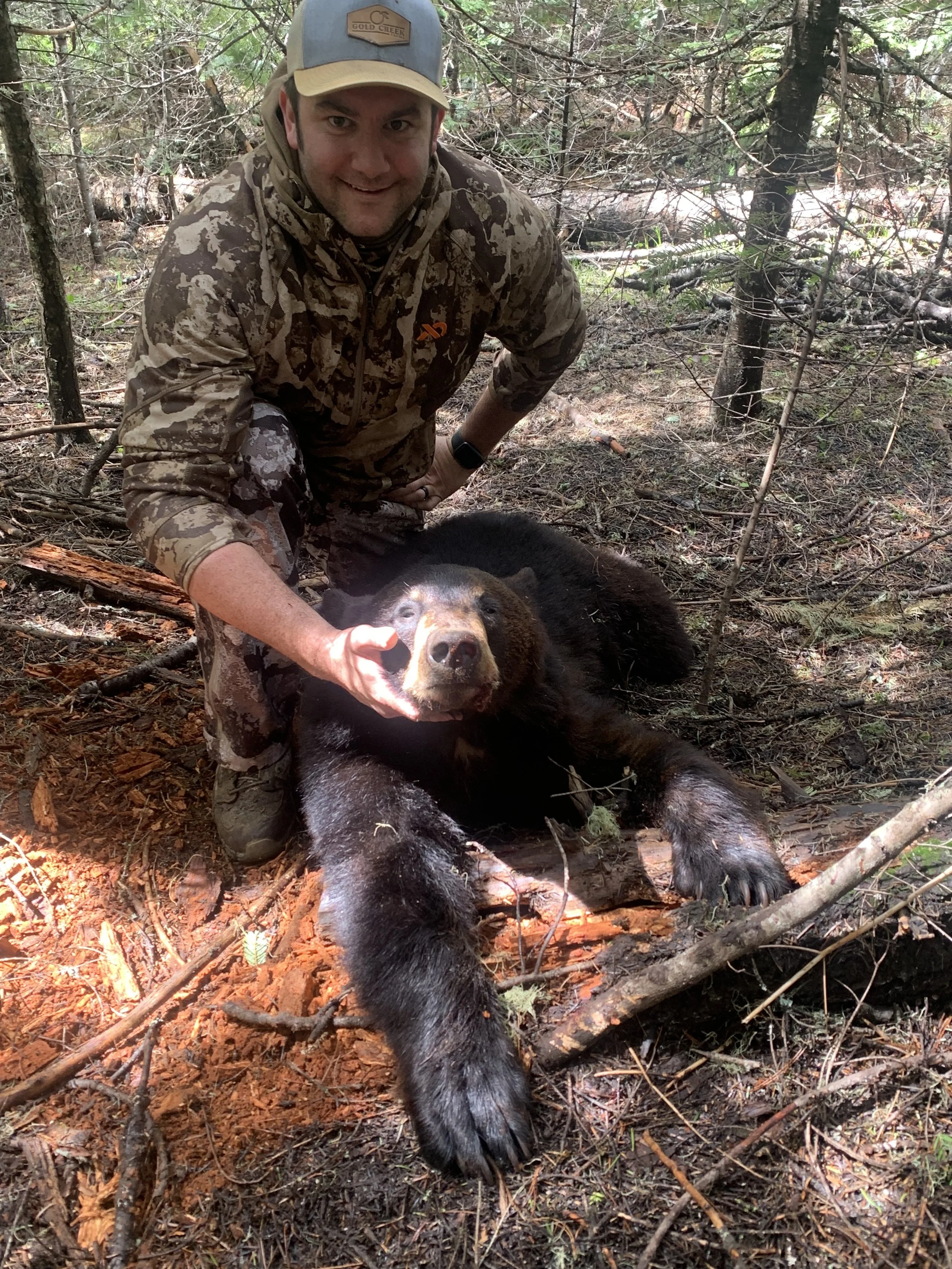 A man in camouflage clothing kneels next to a large, black bear resting on the forest floor, holding its head gently. The man is smiling and wearing outdoor gear, including a cap, in a wooded area with trees and fallen branches.