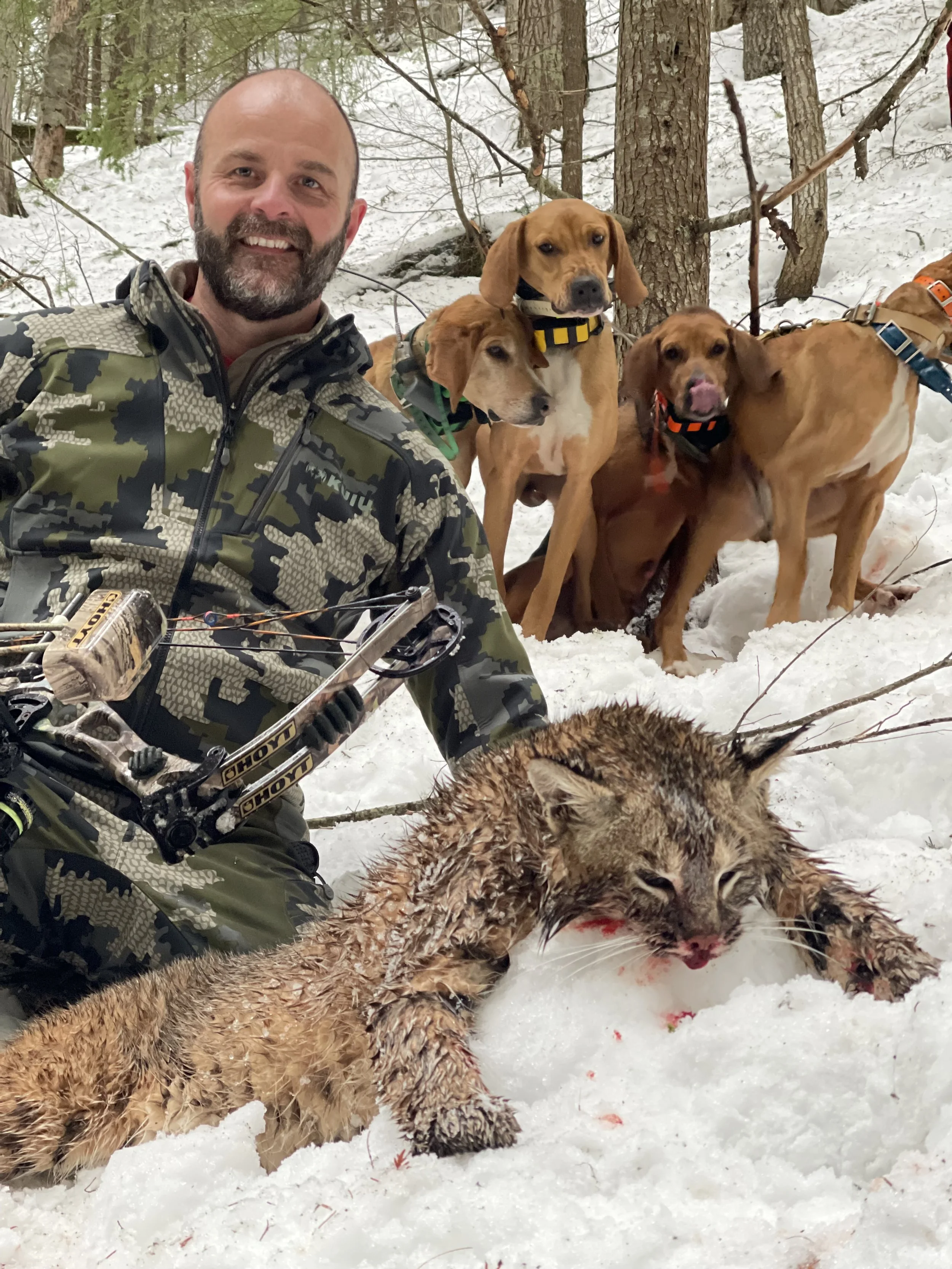 A man in camo gear kneeling in snow with four dogs and a dead bobcat.