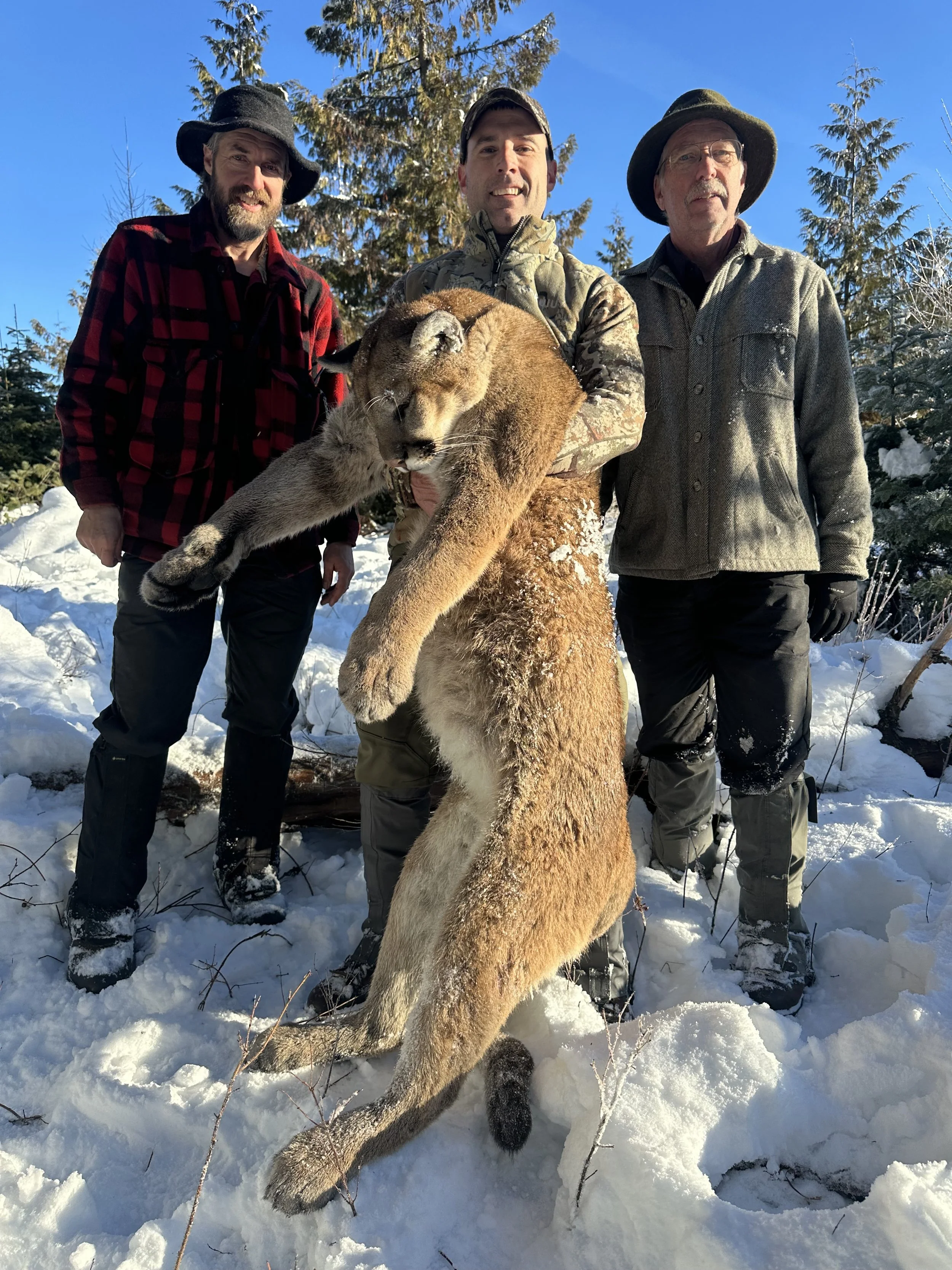 Three men standing in a snowy forest, holding a large mountain lion they hunted.