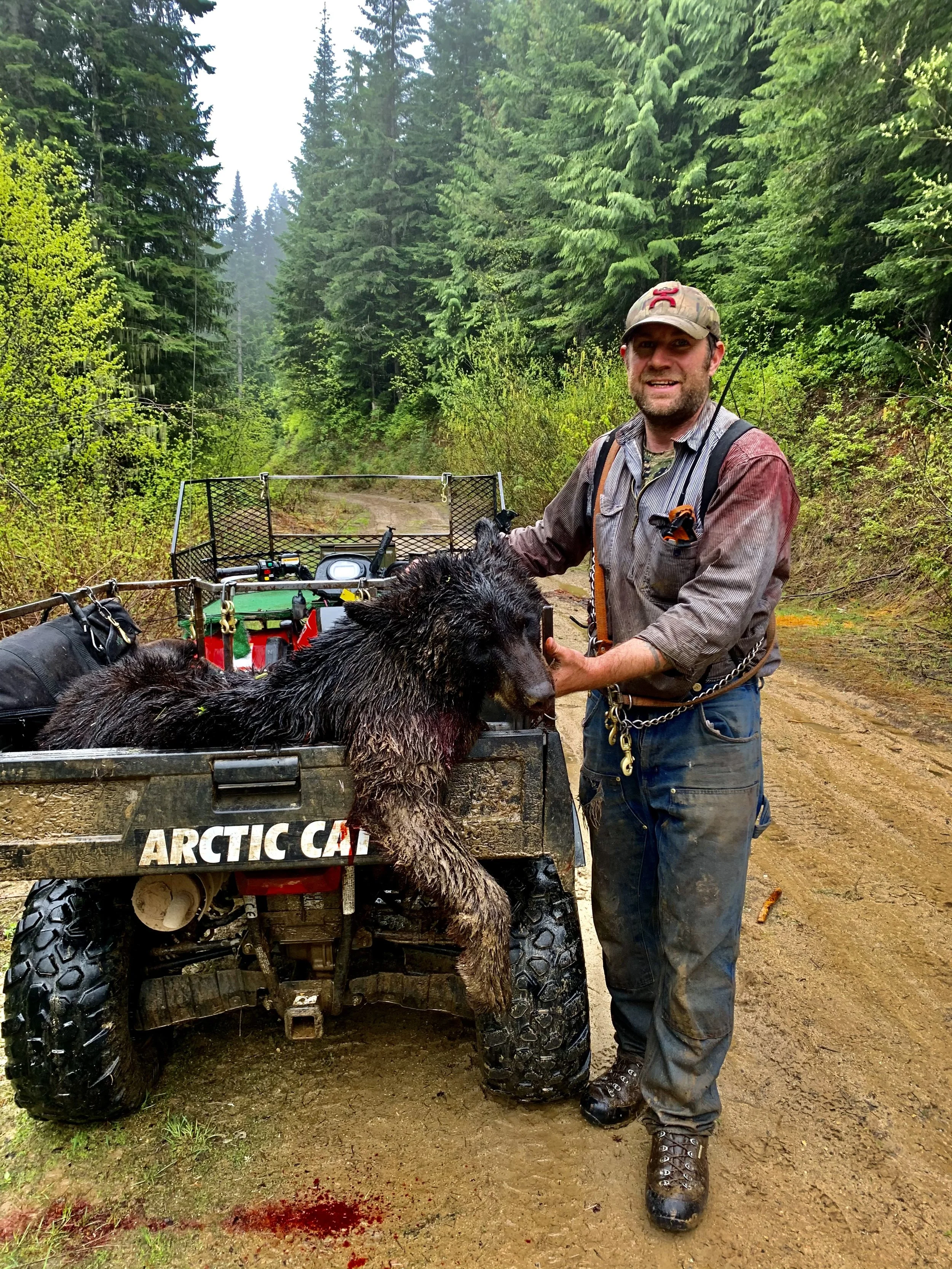 A man dressed in outdoor gear standing next to an all-terrain vehicle on a muddy forest trail, holding a large dead bear in the back of the vehicle, with tall evergreen trees in the background.
