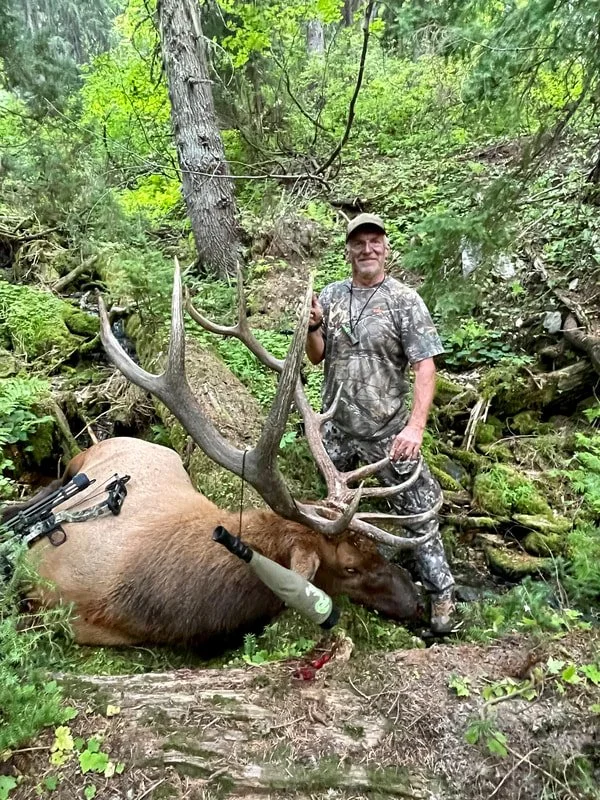 A man in camouflage clothing standing next to a large, dead elk with big antlers in a forested area.