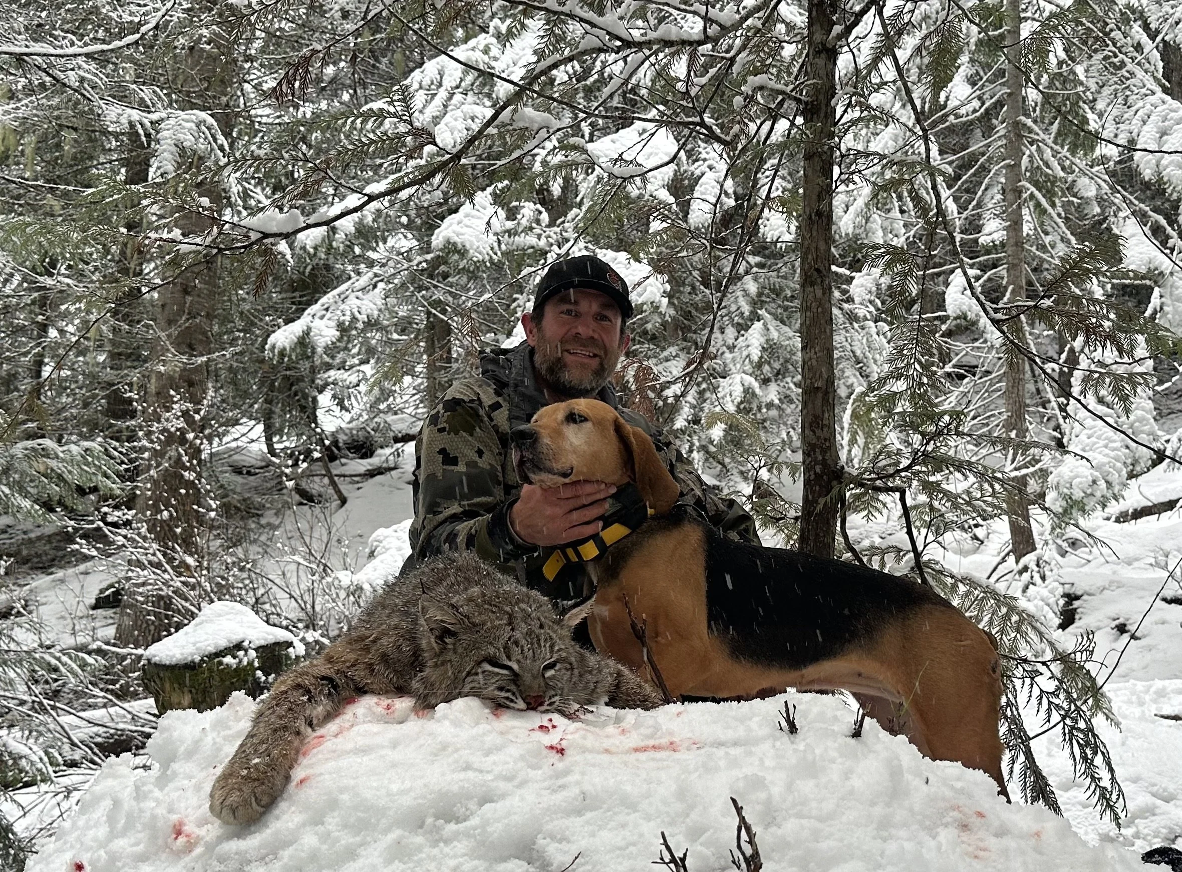 A man with a beard, dressed in camouflage clothing, sitting in a snowy forest, holding a dog and lying next to a snow-covered bobcat with visible blood on the snow.