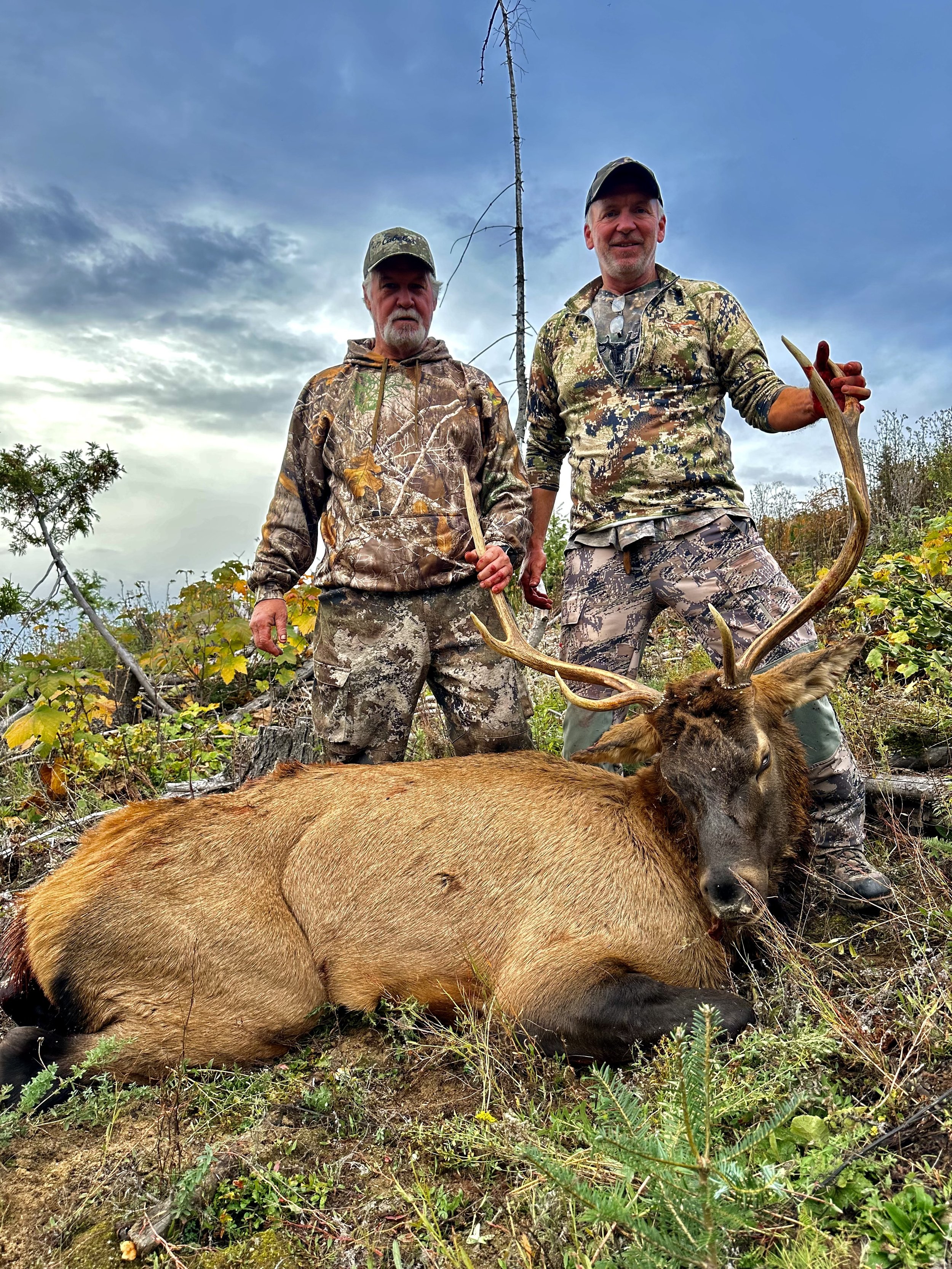 Two men in camouflage hunting gear pose on a hillside with a large elk they have hunted, with a cloudy sky in the background.
