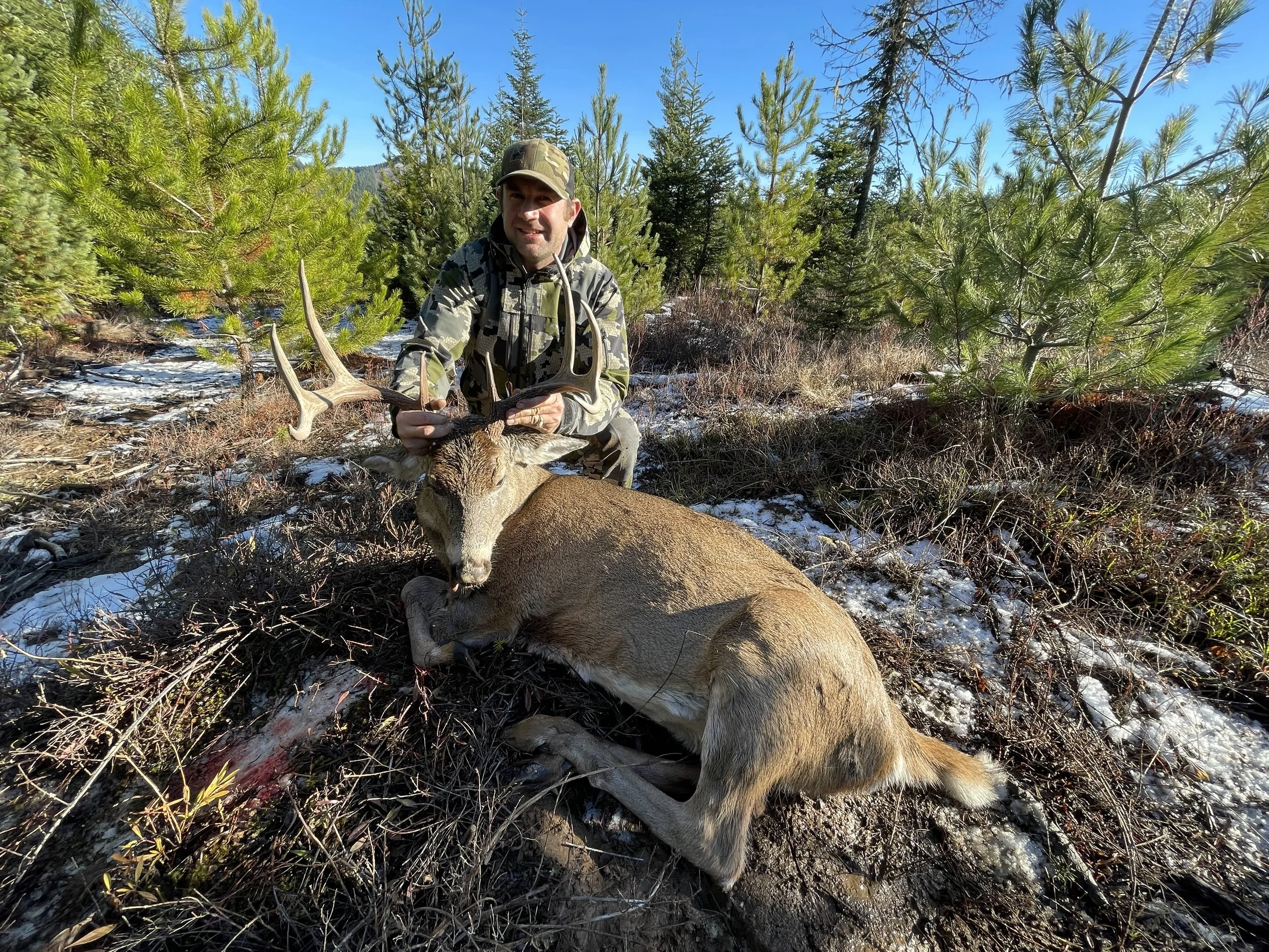 A man in camouflage clothing kneels on the ground next to a recently hunted deer with antlers, holding the deer's antlers in his hands amidst a forested area with green trees and patches of snow.