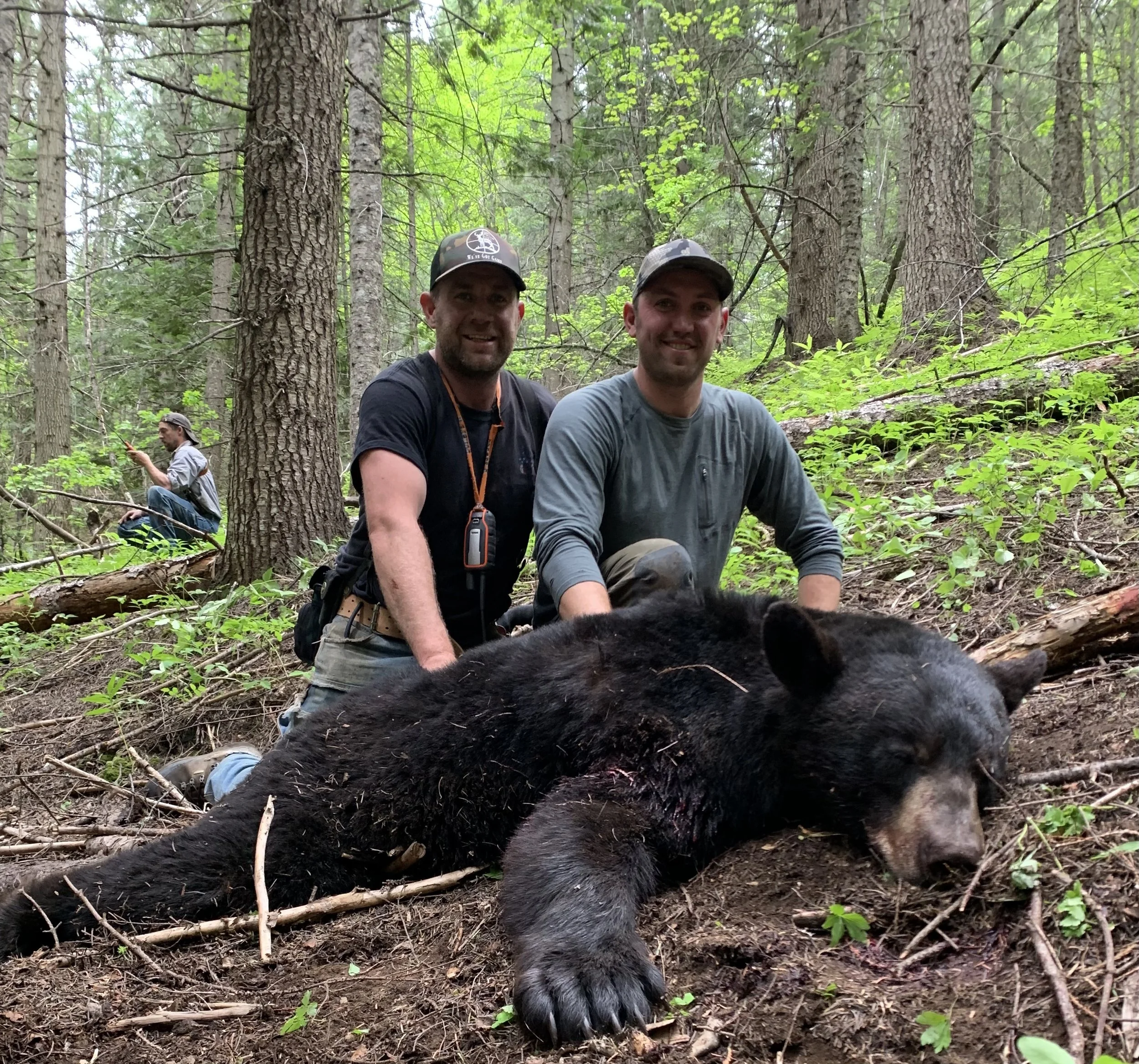 Two men in a forest kneeling next to a large, dead black bear lying on the ground. Another person is sitting on a fallen log in the background.