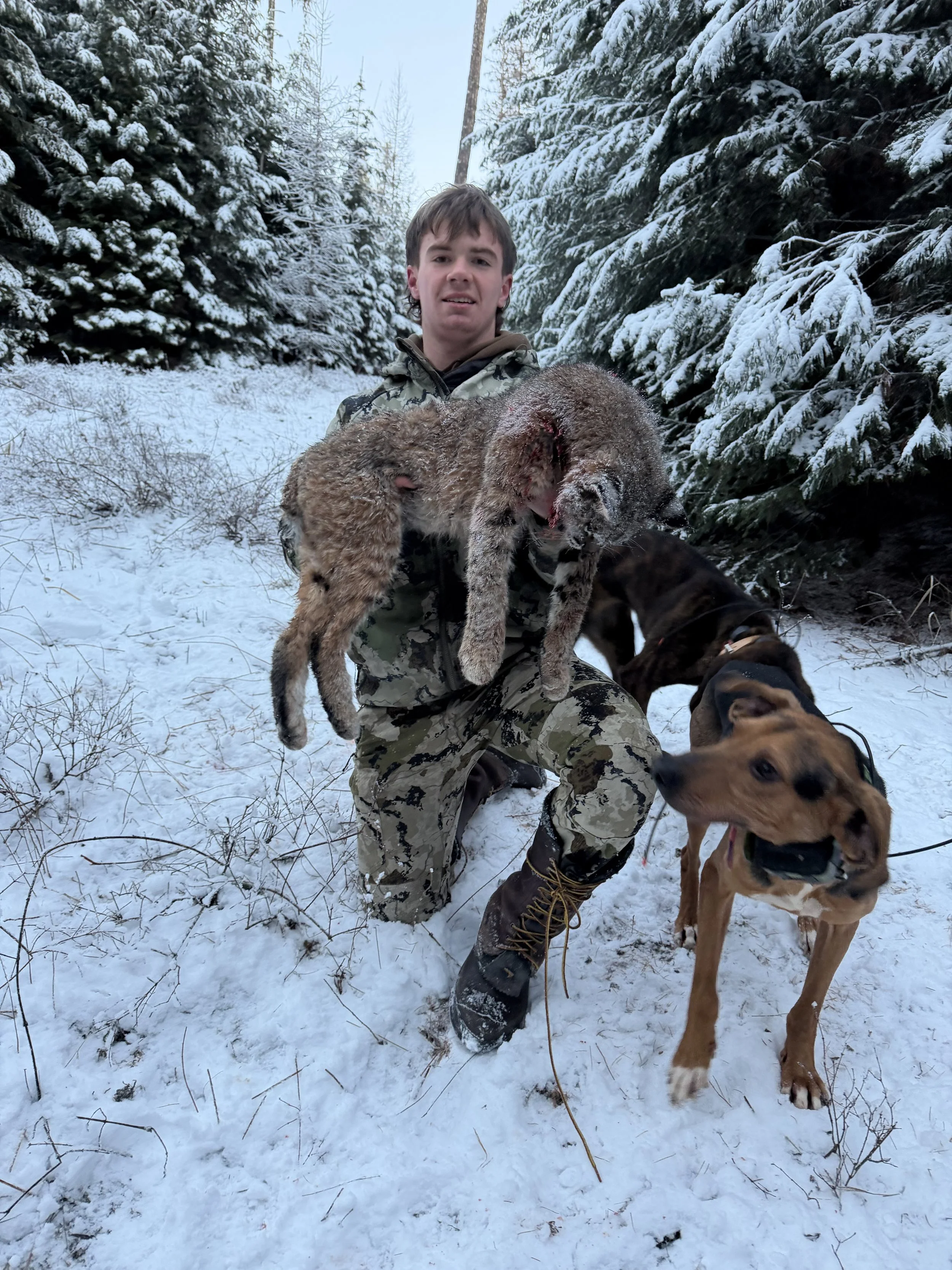A young man in camouflage clothing kneels in snow holding a dead animal, possibly a coyote, with two dogs beside him in a snowy forest with evergreen trees.