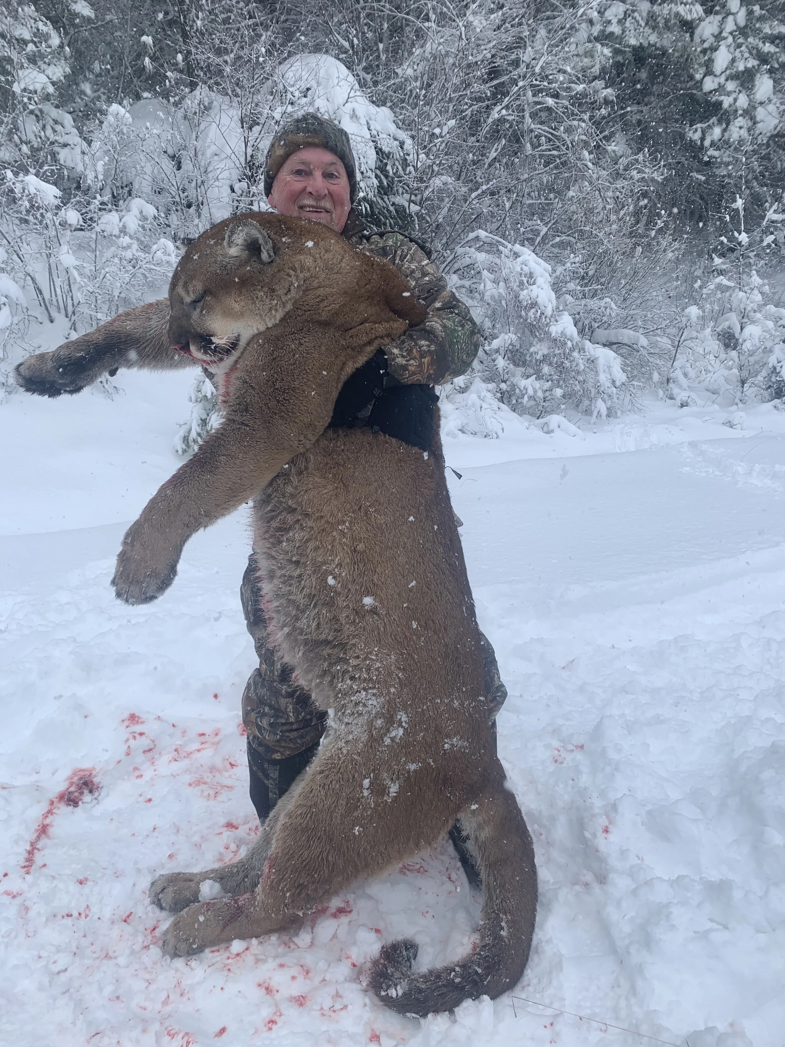 A man in camouflage clothing holding a large, dead mountain lion in a snowy landscape with snow-covered trees in the background.