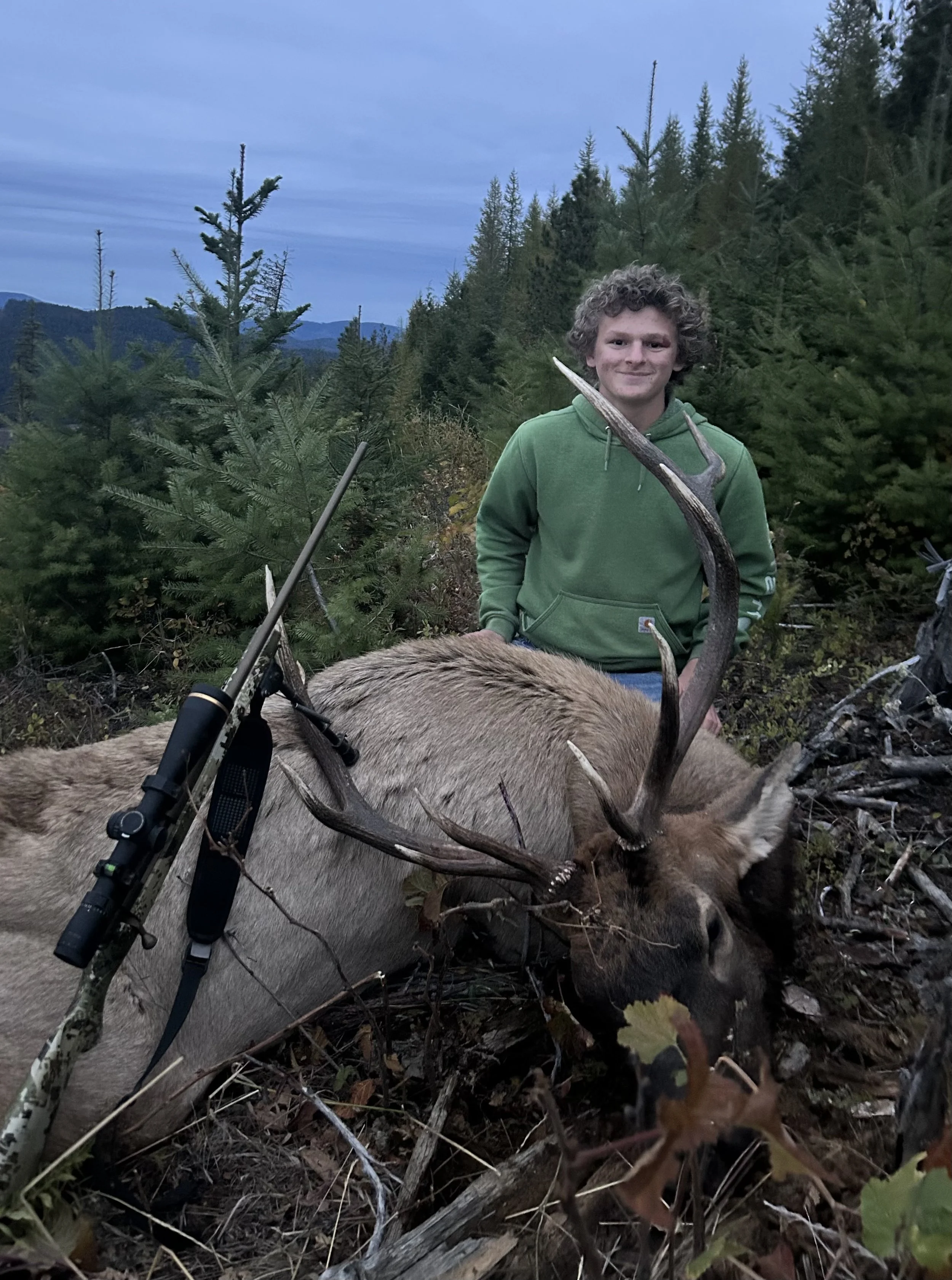 A young man in a green hoodie standing behind a large elk with antlers, lying on the ground in a forested area, with a hunting rifle resting on the elk's side.