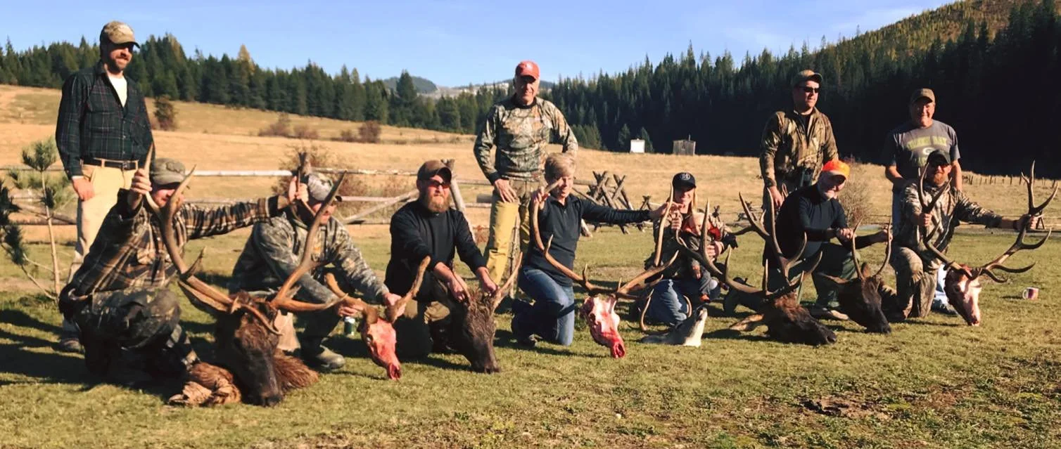 Group of people outdoors, kneeling and standing behind nine harvested elk with large antlers, in a field with hills and trees in the background.