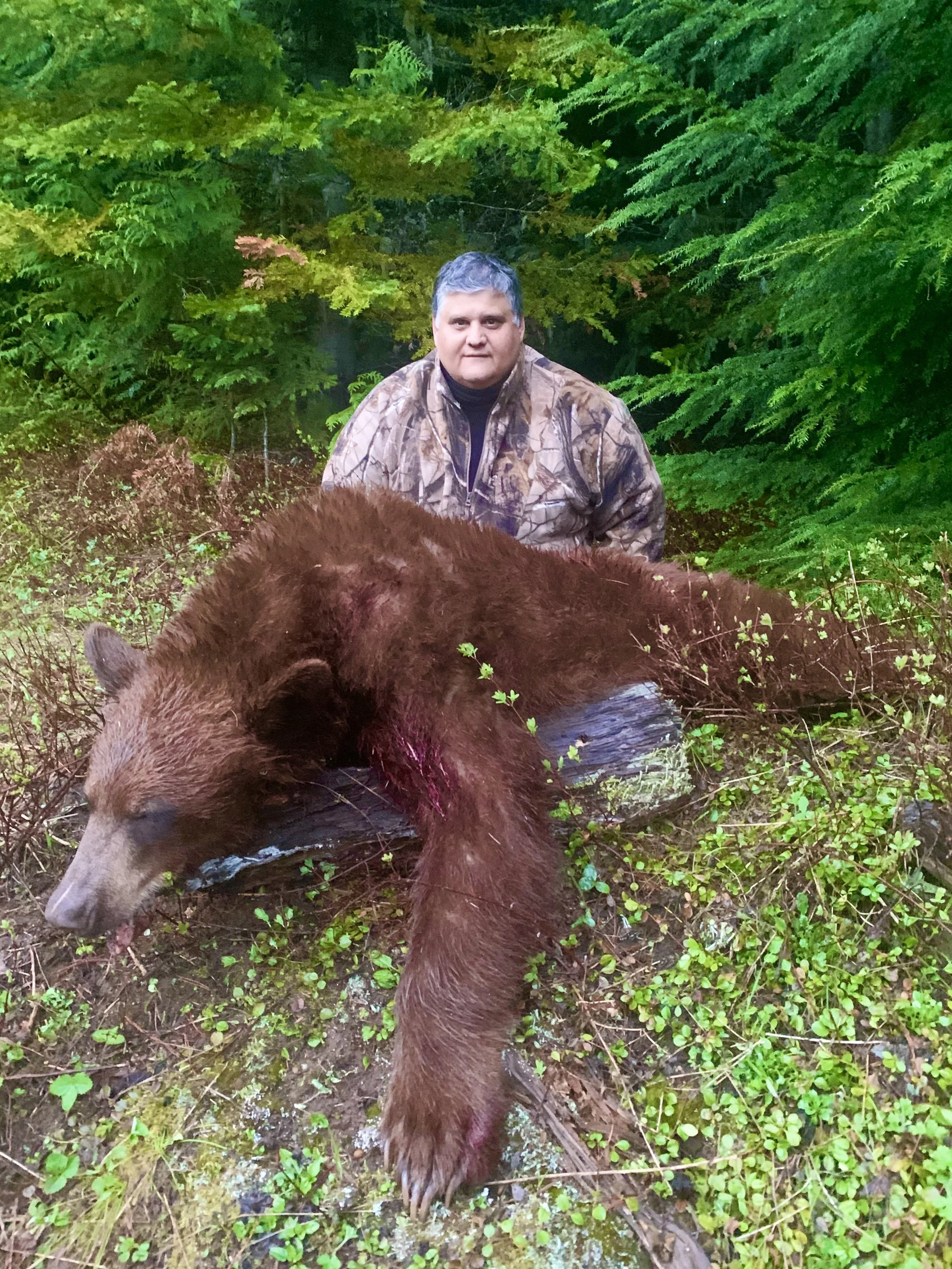 A man in camouflage clothing kneeling behind a large dead brown bear lying on a forest floor with green trees in the background.