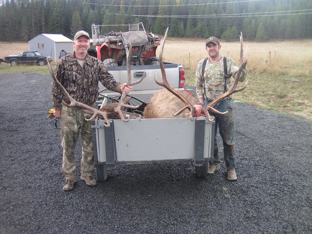 Two men in camouflage clothes standing next to a large elk with impressive antlers in a trailer, with a truck and rural landscape in the background.