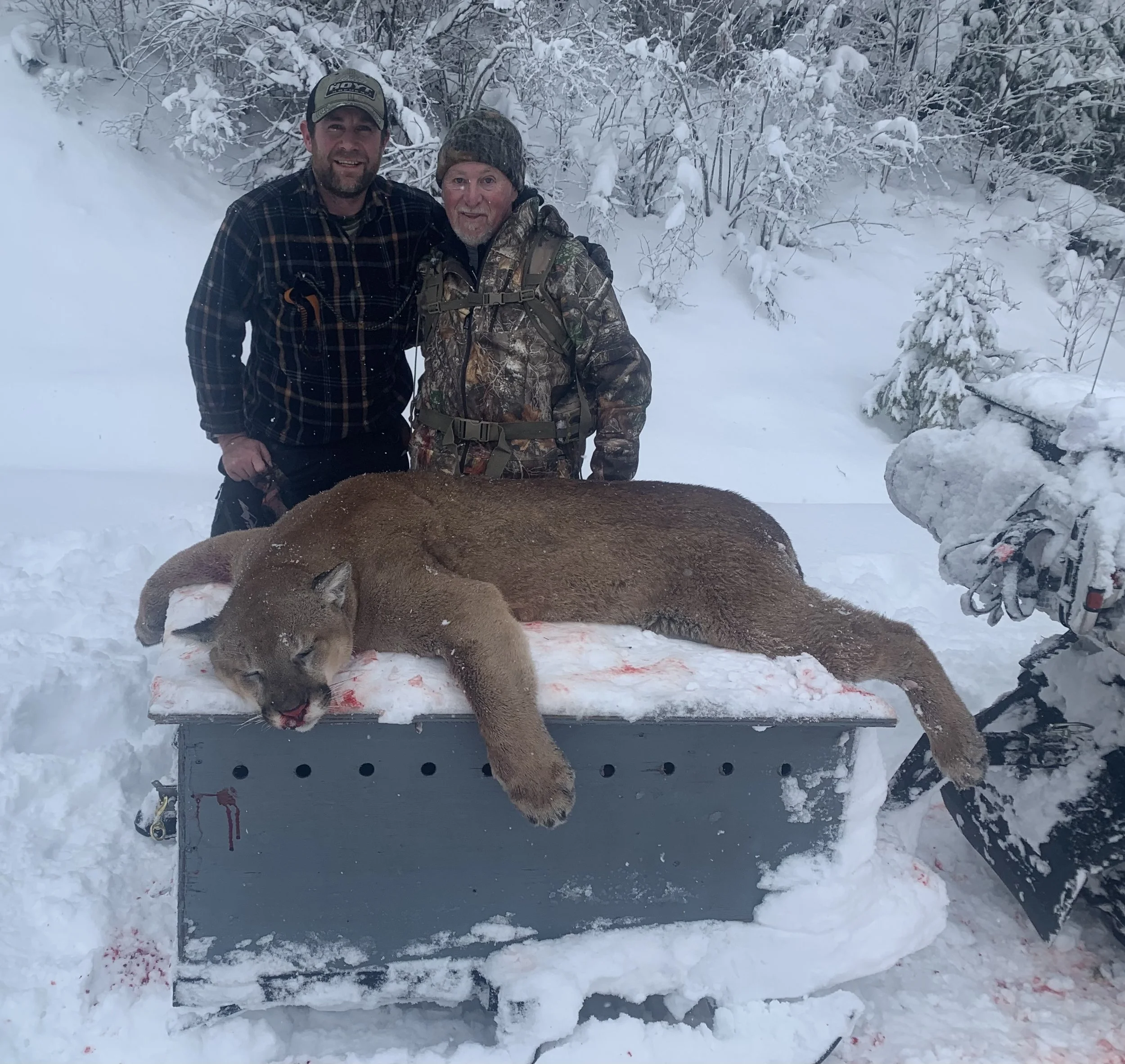 Two men dressed in winter and camouflage clothing standing behind a large dead mountain lion on a snow-covered table, with snowy trees in the background.