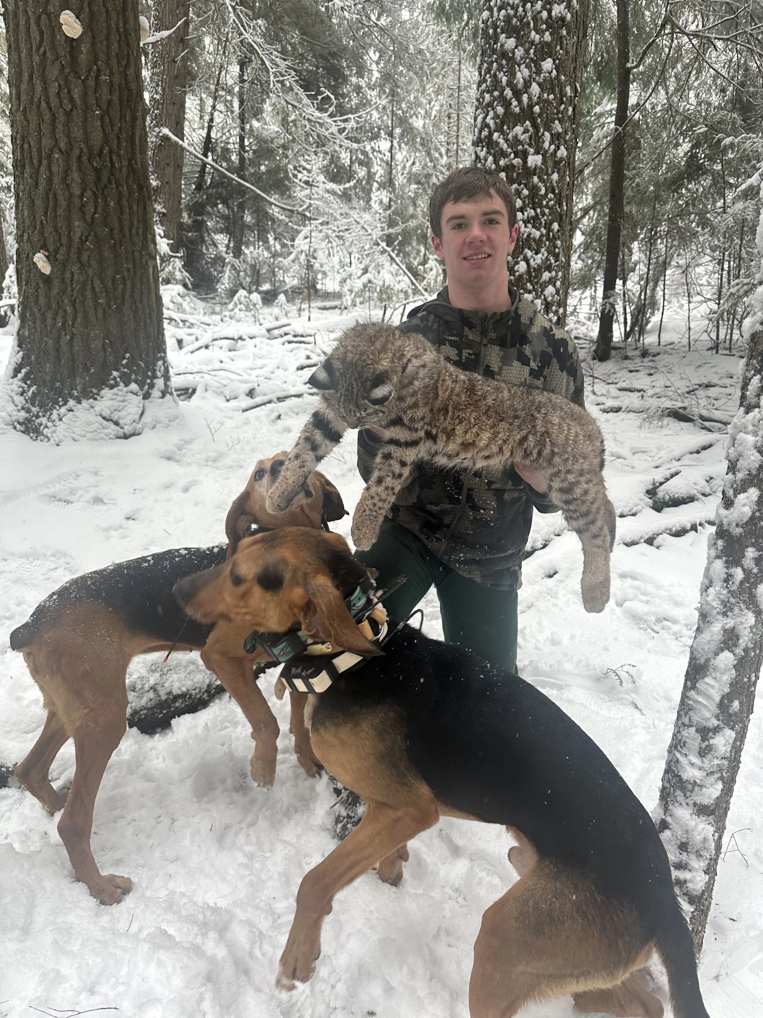 A young man holding a large wild cat in a snowy forest, with two dogs nearby.