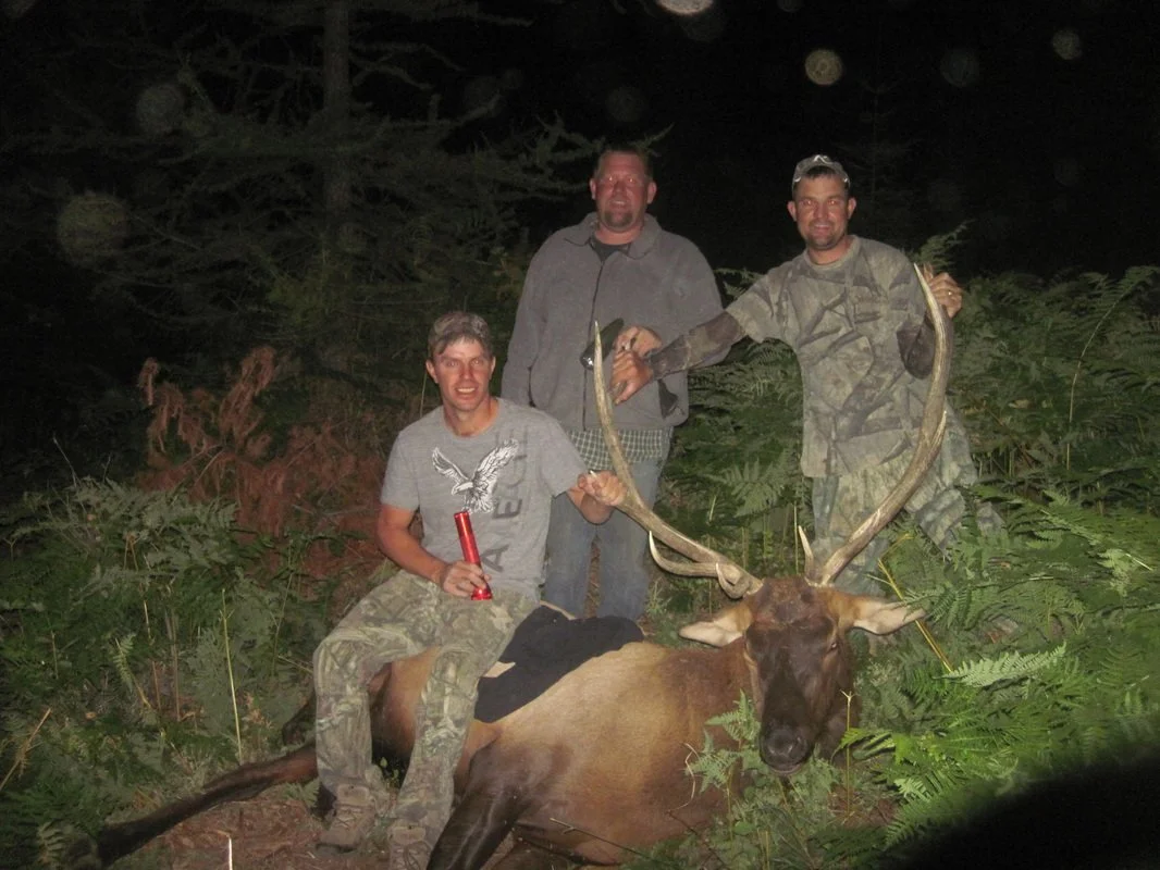 Three men posing with a large elk they hunted in a wooded area at night. The elk has impressive antlers and is lying on the ground. One man is sitting and holding a red flashlight, while the other two are standing behind the elk, smiling.