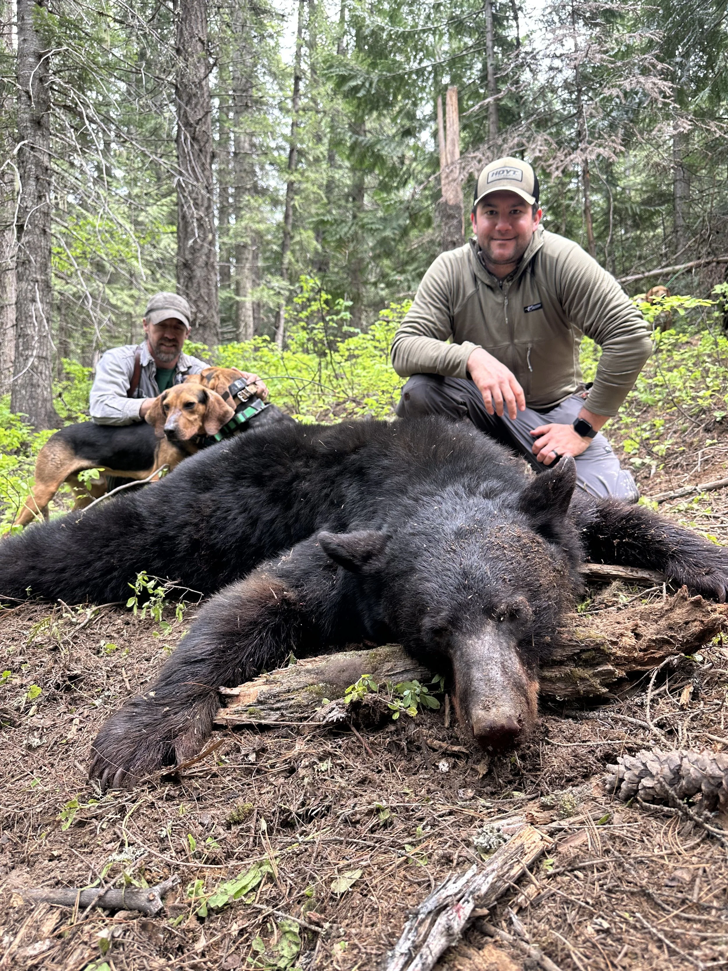 Two hunters with a dog pose with a large, dead wild boar lying on the forest ground, surrounded by trees and green foliage.