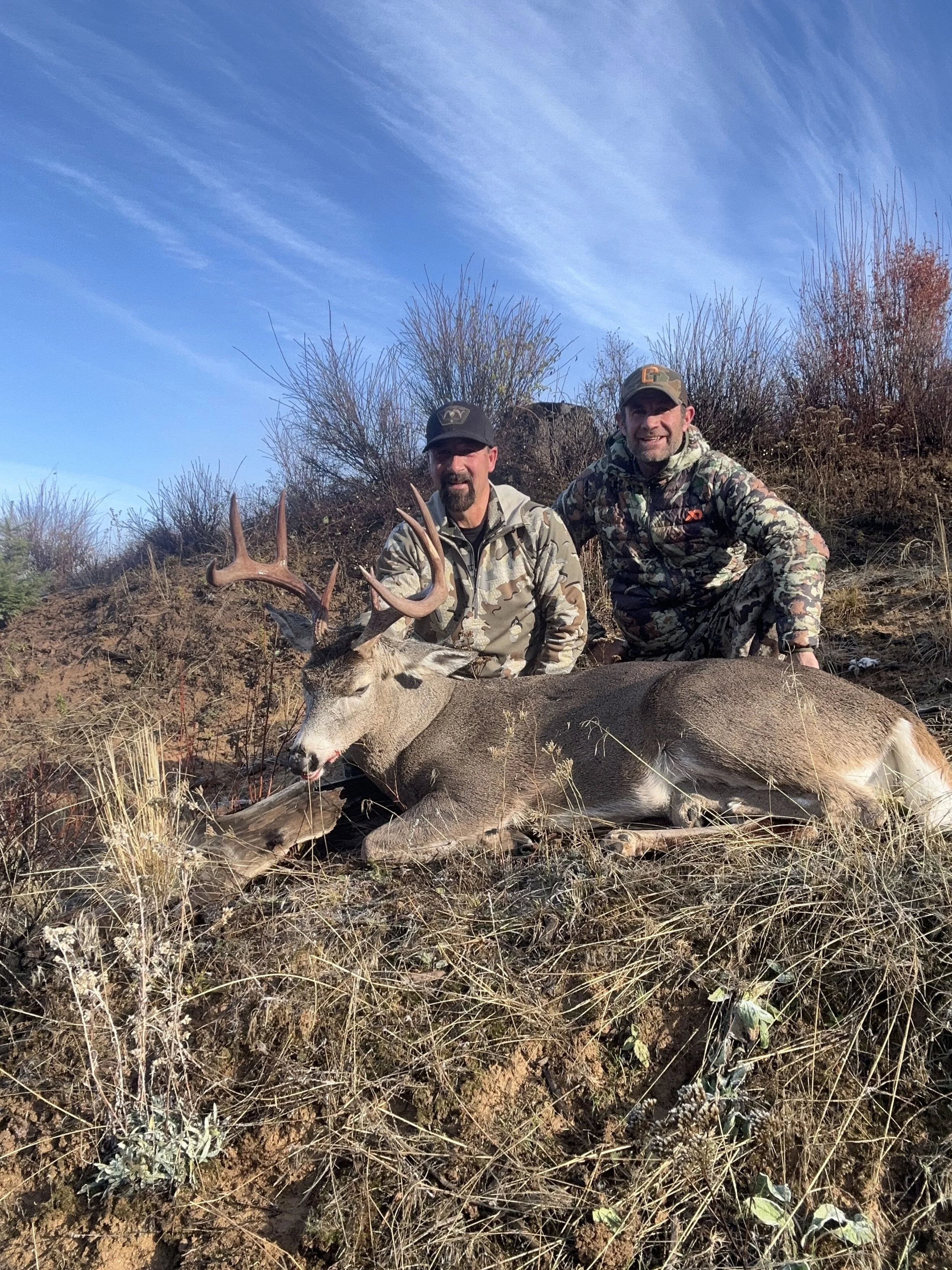 Two hunters posing with a large elk they have caught, lying on the ground outdoors with dry grass and bushes, under a blue sky.