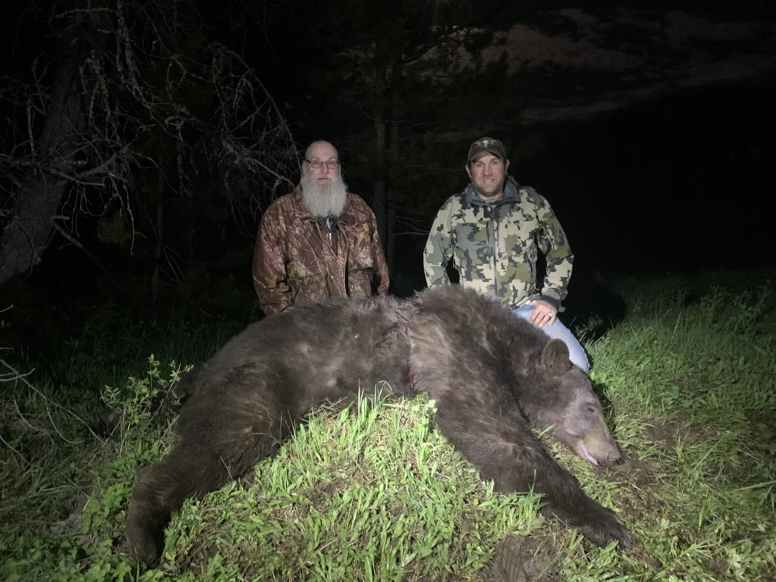 Two men stand behind a large, dead black bear lying on the grass at night in a forested area.