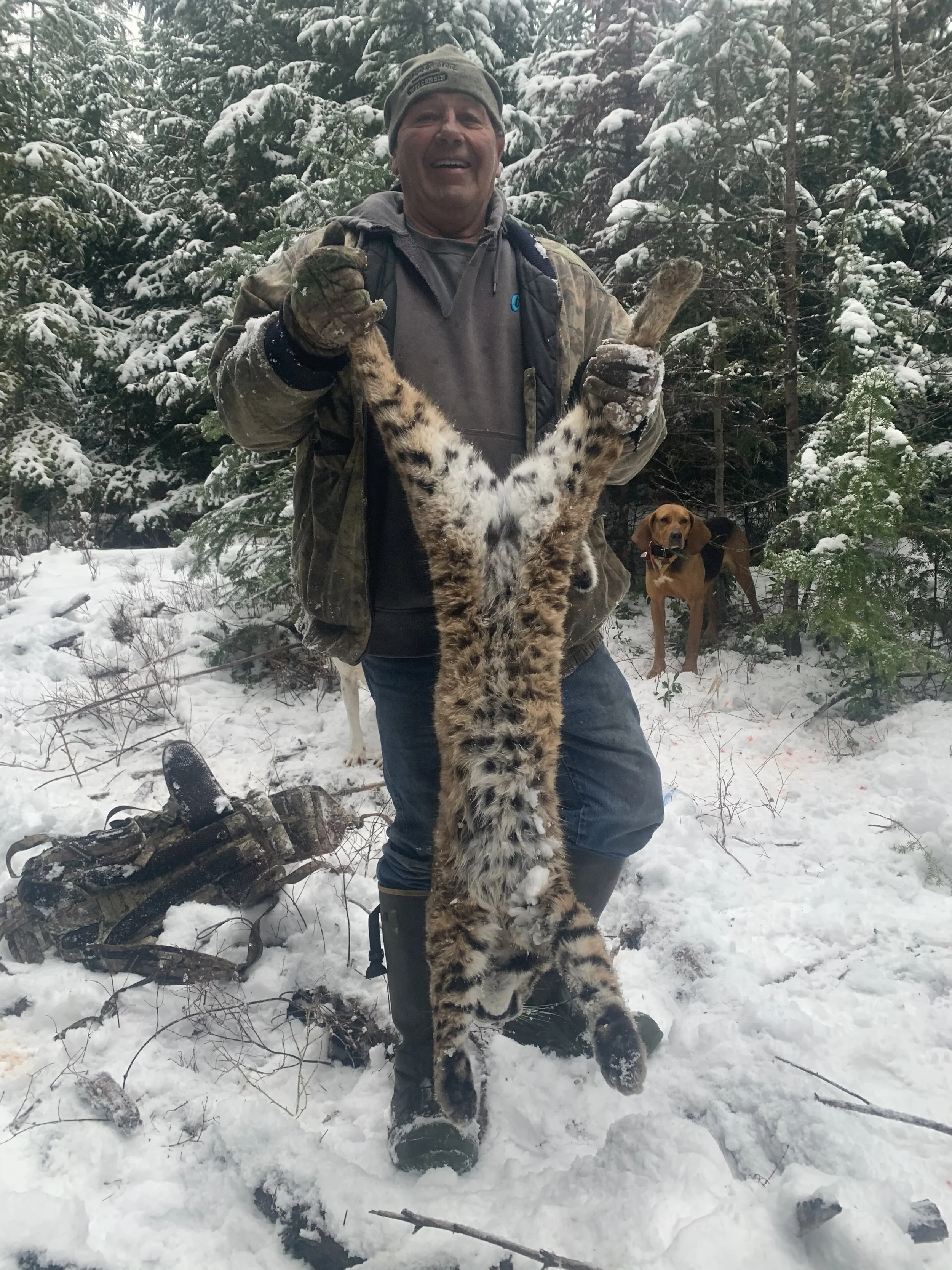 A man in winter clothing holding a caught lynx upside down in a snowy forest with two dogs nearby.