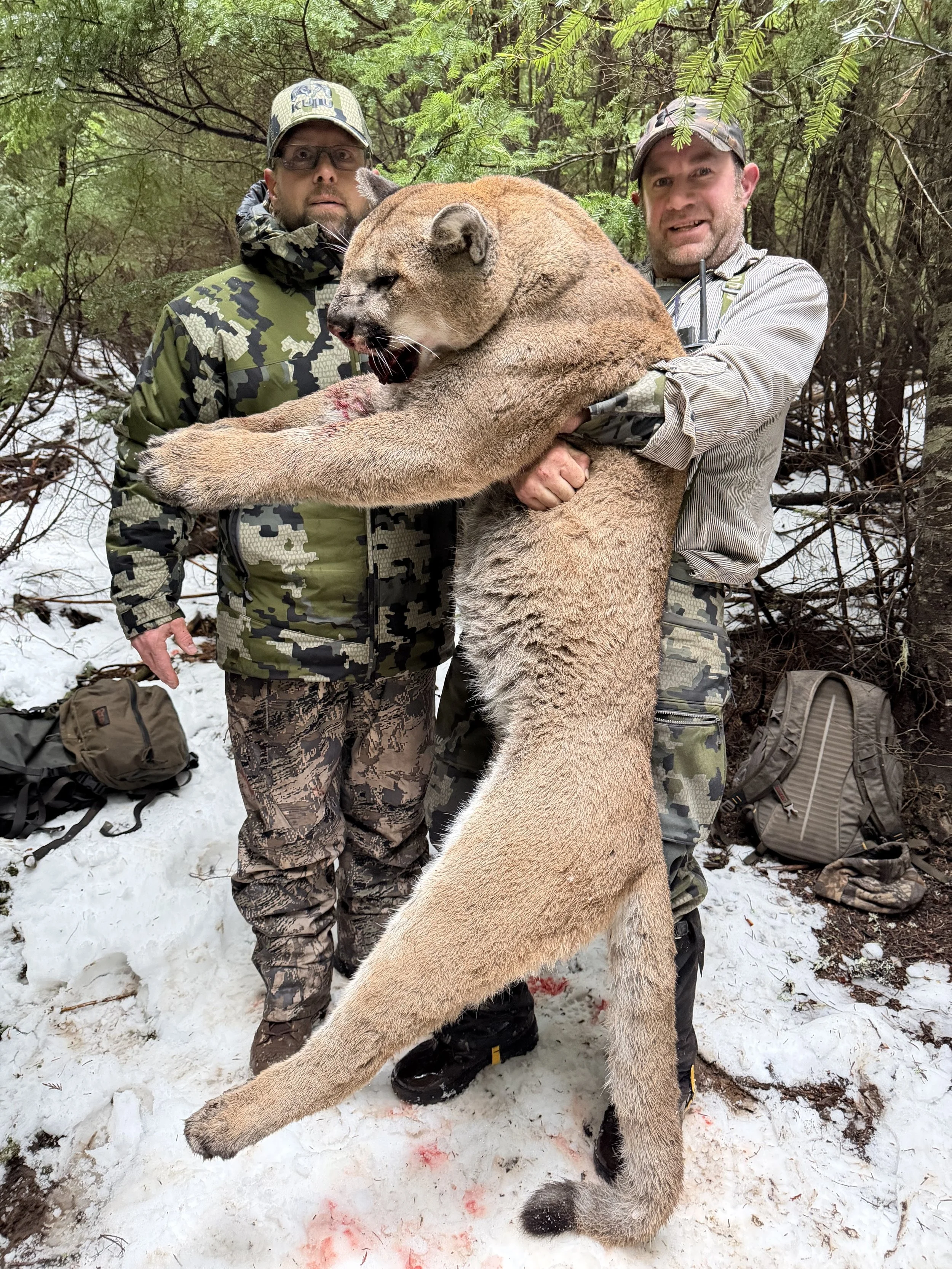 Two men in camouflage and outdoor clothing pose in a snowy forest, holding a large mountain lion carcass. The mountain lion's head is turned to the side, and blood is visible near its mouth. Backpacks are on the ground nearby.