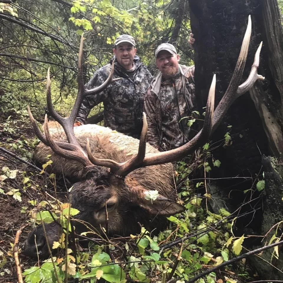 Two men in camouflage clothing posing behind a large dead elk with impressive antlers in a forested area.