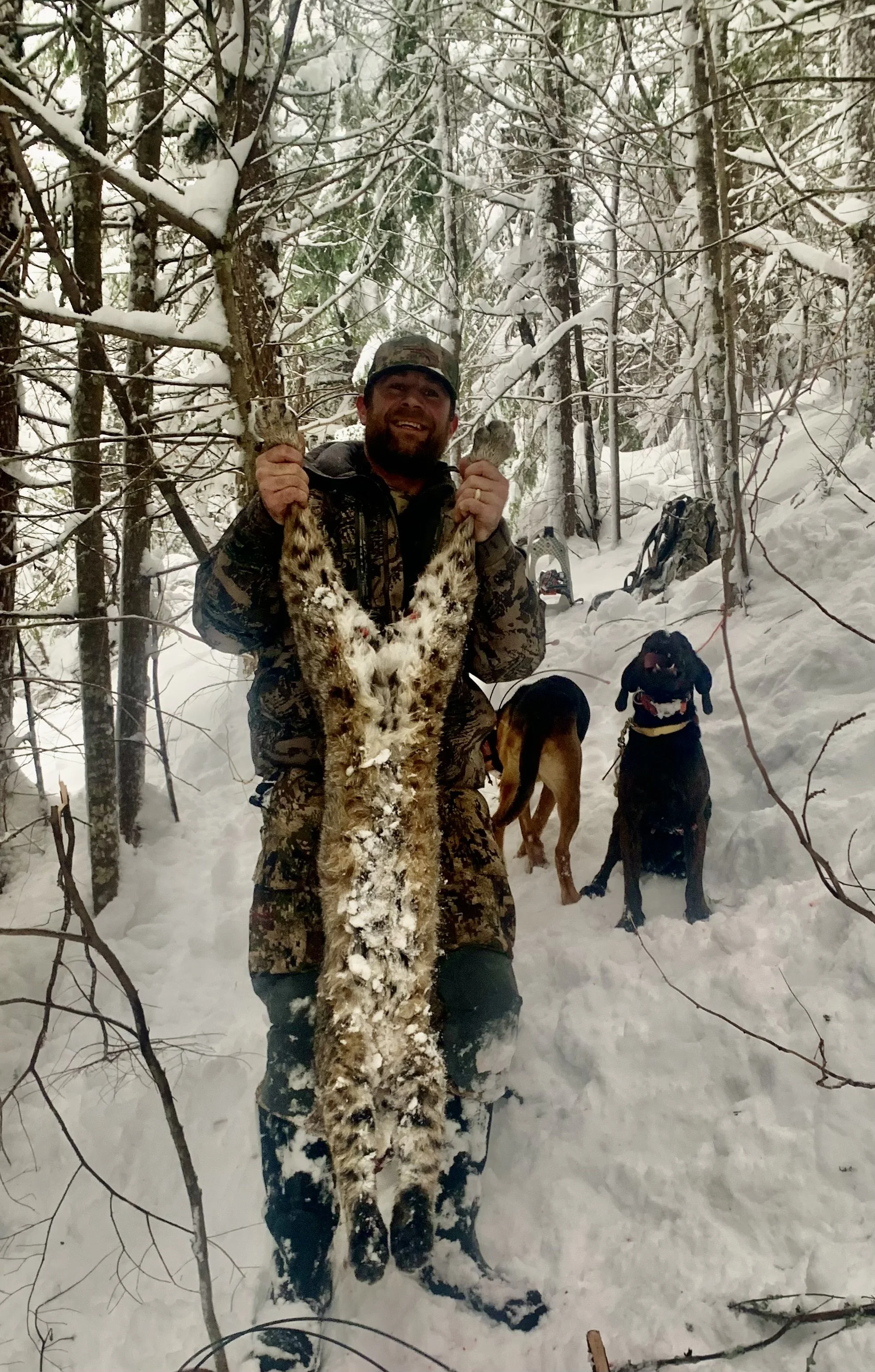 A man dressed in camouflage clothing laughing while holding a large dead animal, likely a lynx, by its front legs in a snowy forest. Two dogs are in the background, one sitting and the other standing, with snow-covered trees surrounding them.