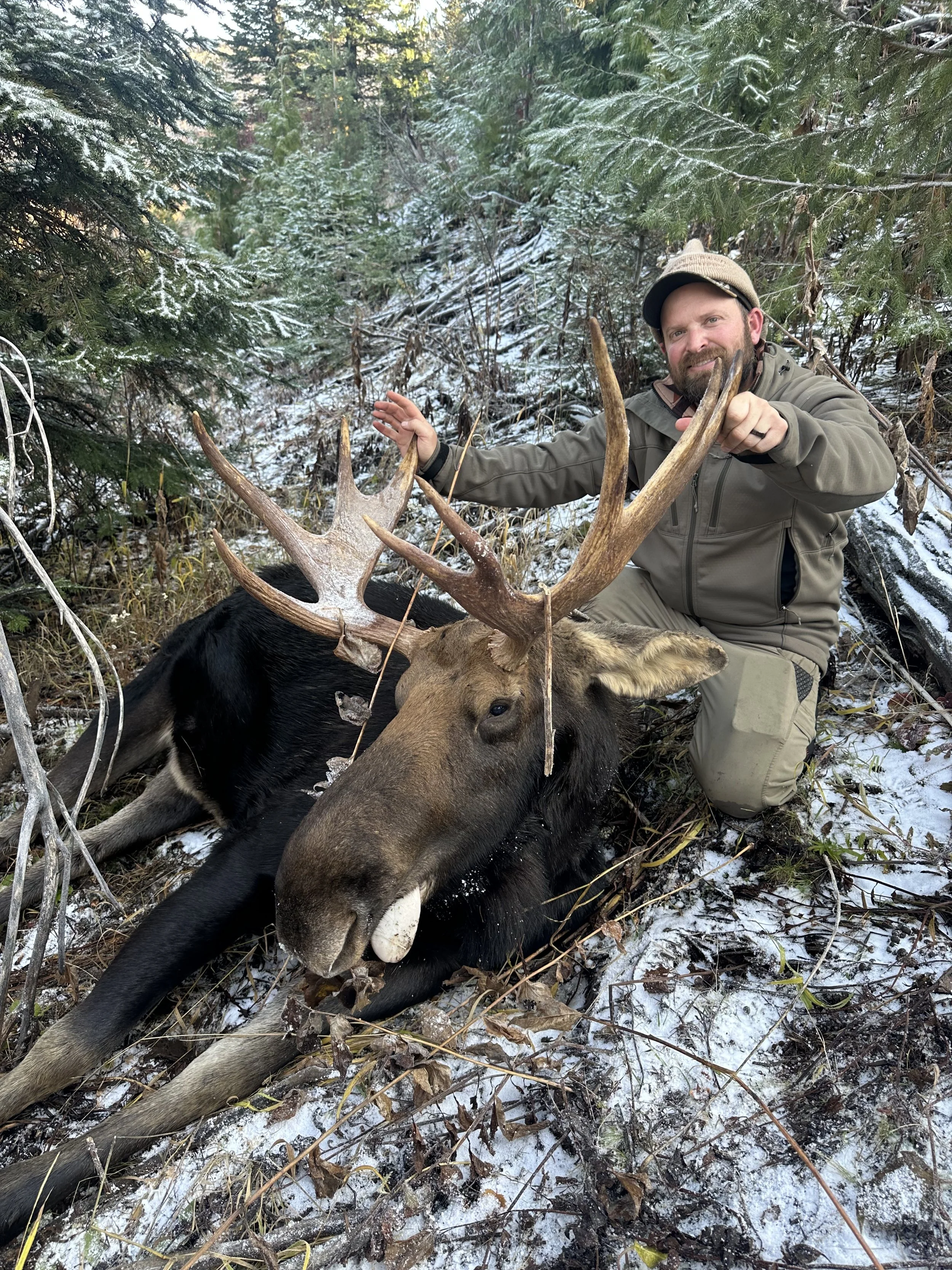 A man in outdoor clothing kneeling next to a large black and brown moose with big antlers in a snowy forested area.