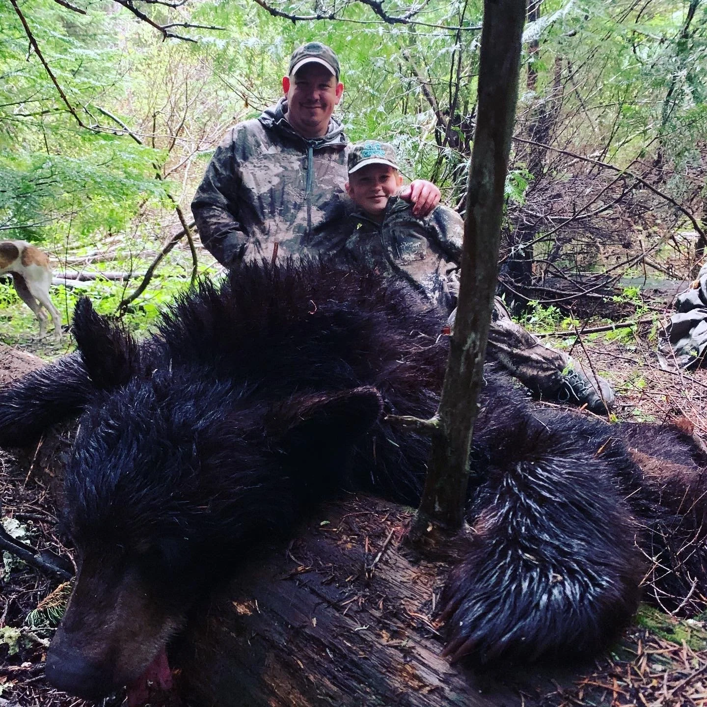 Two boys in camouflage clothing standing behind a large, dead black bear lying on the forest floor surrounded by trees and greenery.