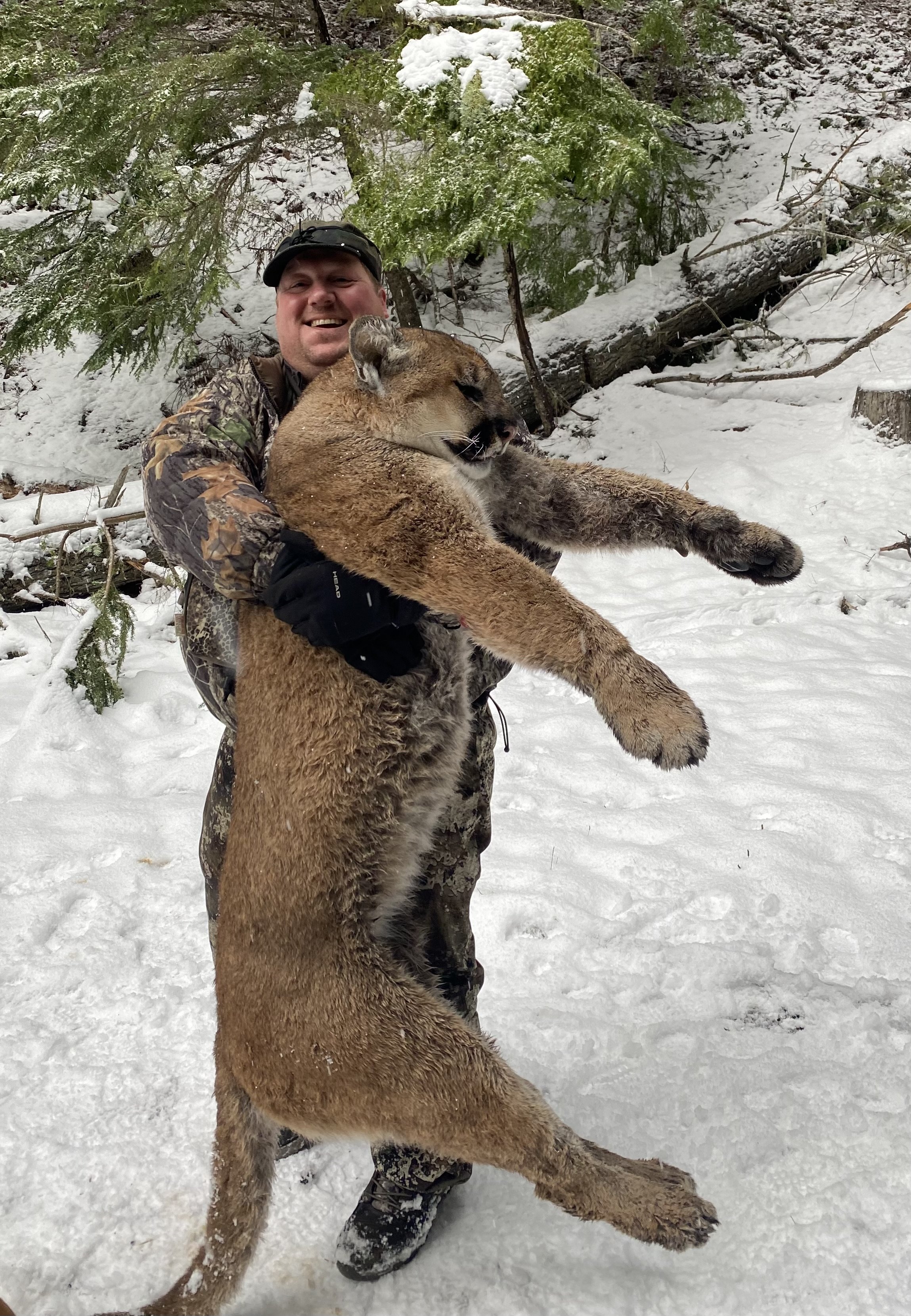 A man in camouflage clothing and black gloves holding a large mountain lion or cougar in a snowy forest. The man is smiling and the mountain lion appears calm, with its body extended horizontally.