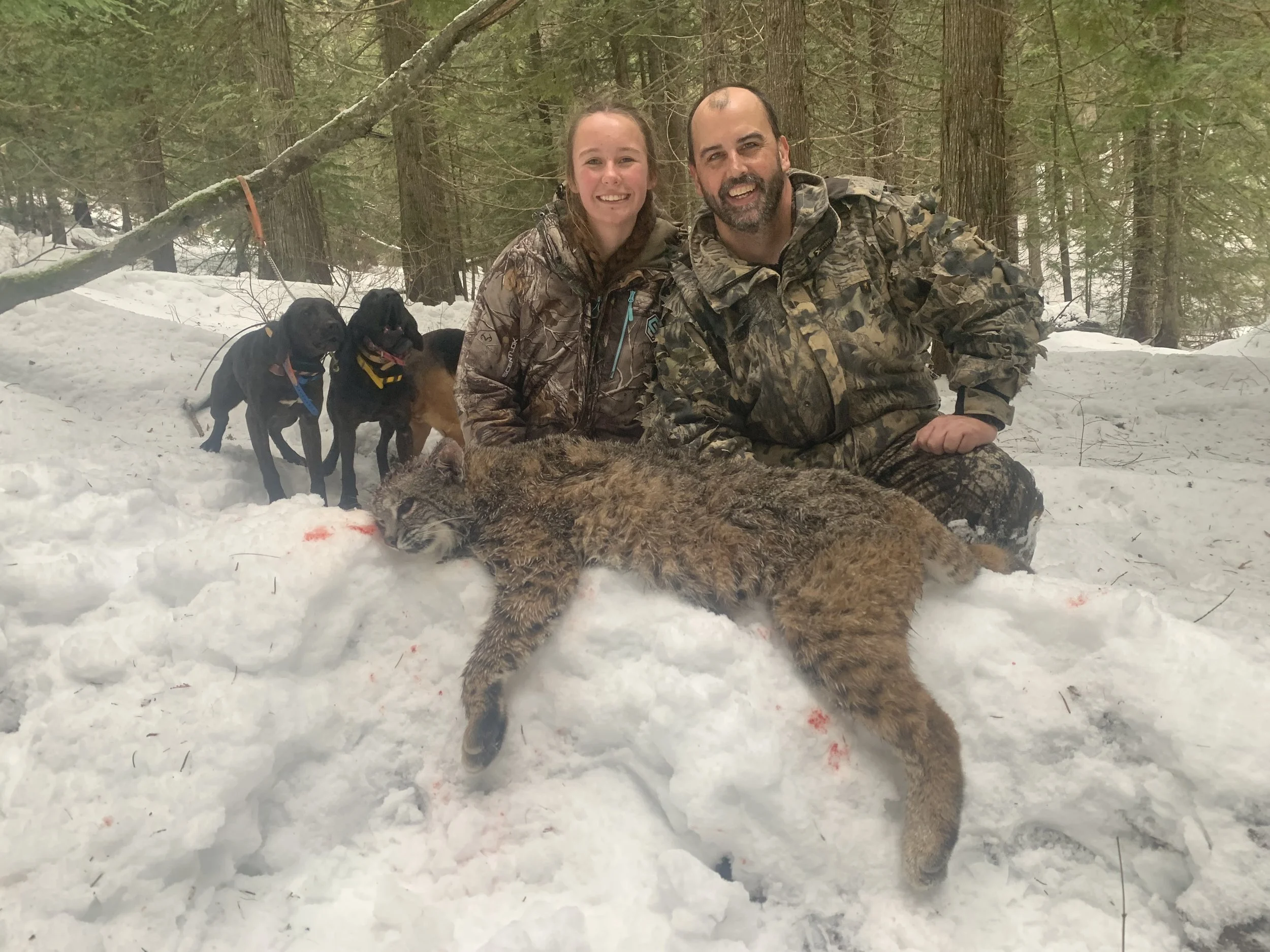 A man and a woman in camouflage clothing kneel in snow, smiling at the camera. In front of them is a deceased mountain lion, and behind them are three dogs, one of which has a bloodstained nose, in a snowy forest.