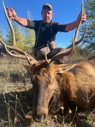 Man in black shirt and cap kneeling behind a large elk with impressive antlers, in a forested area on a sunny day.