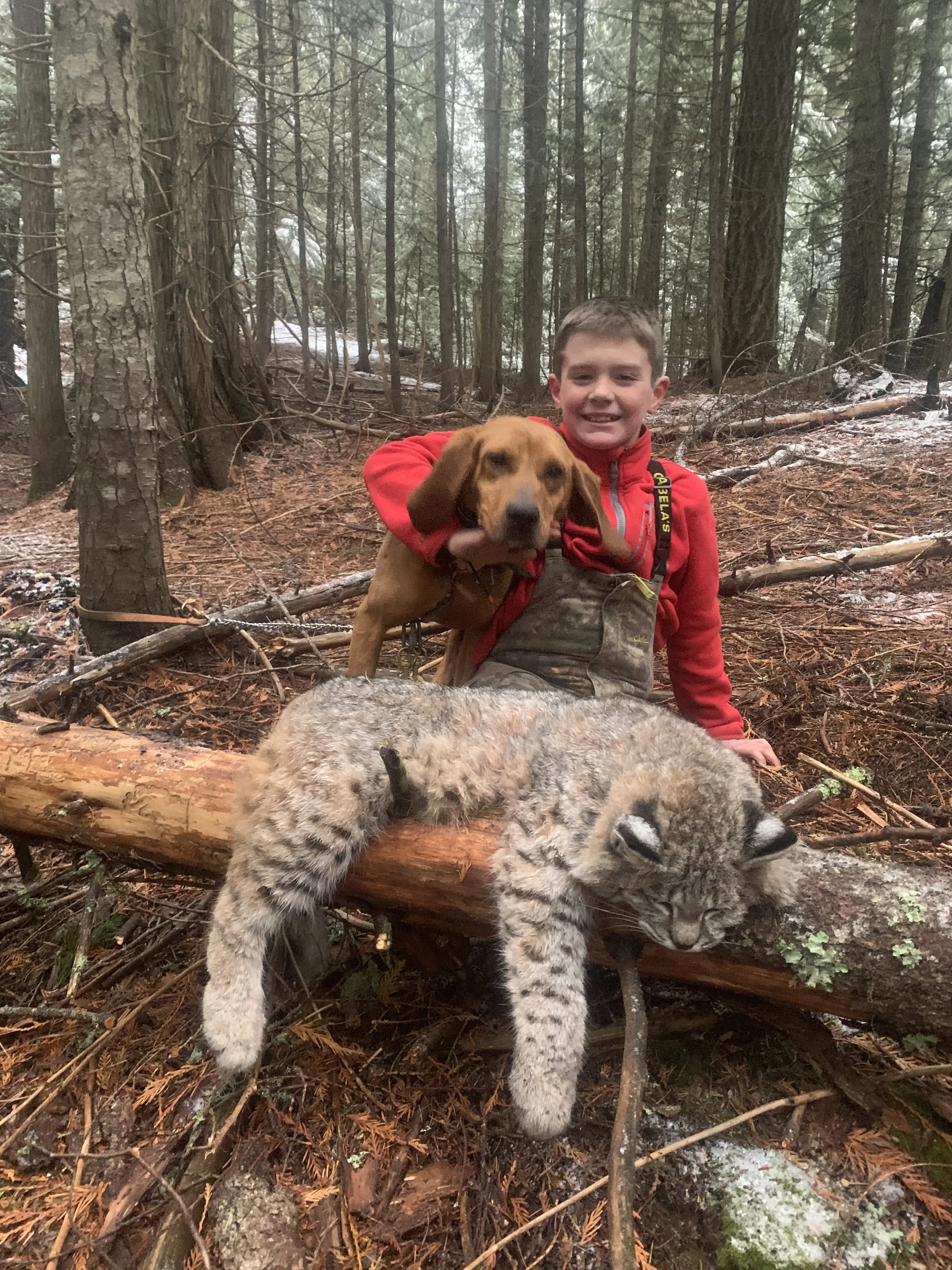 A boy in a red jacket smiling while holding a brown dog. The dog is sitting on a fallen log with a large, sleeping bobcat resting on it. The scene takes place in a forest with trees and pine needles on the ground.