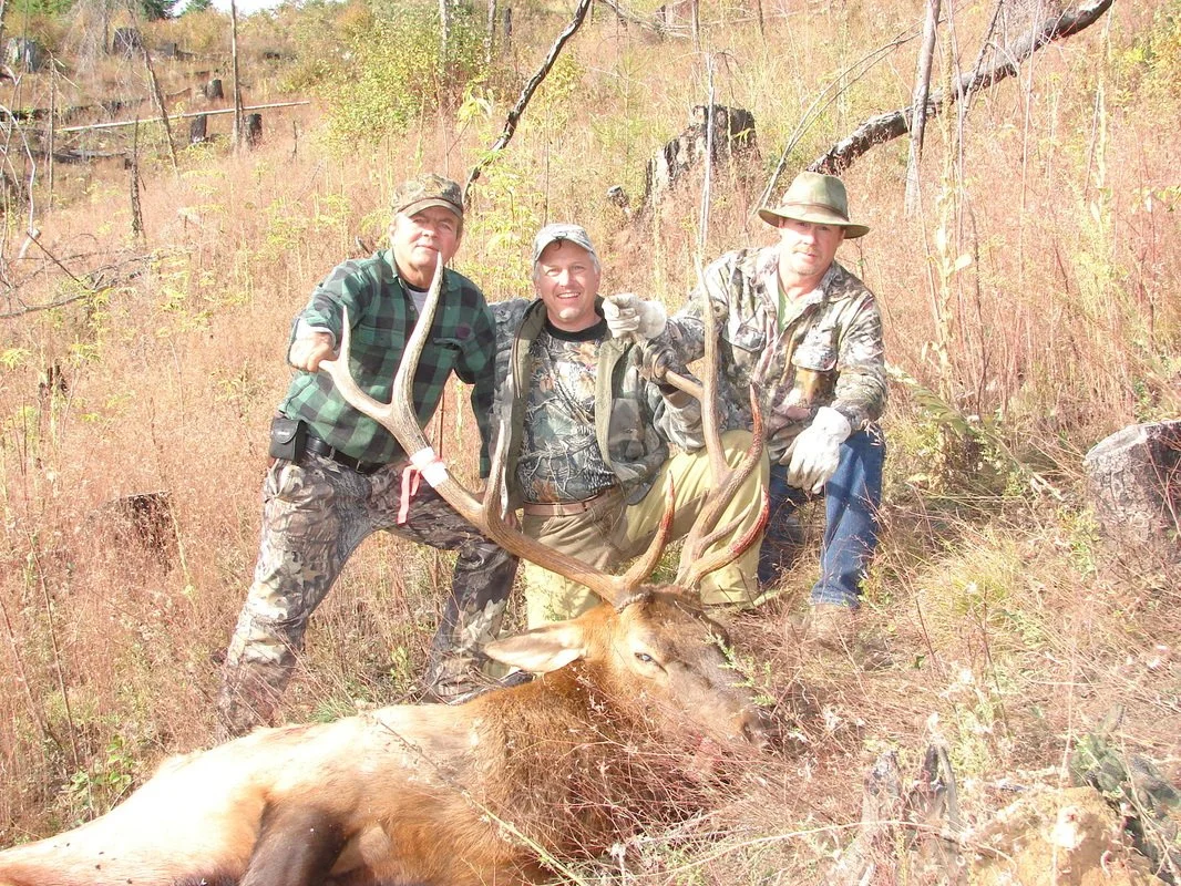 Three hunters in camouflage and outdoor gear posing with a large elk they hunted in a grassy, wooded area.